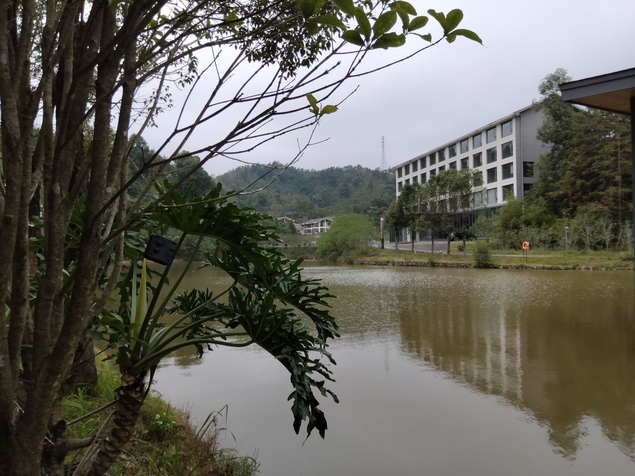 定南桃源乐境风景区旅行图片 2