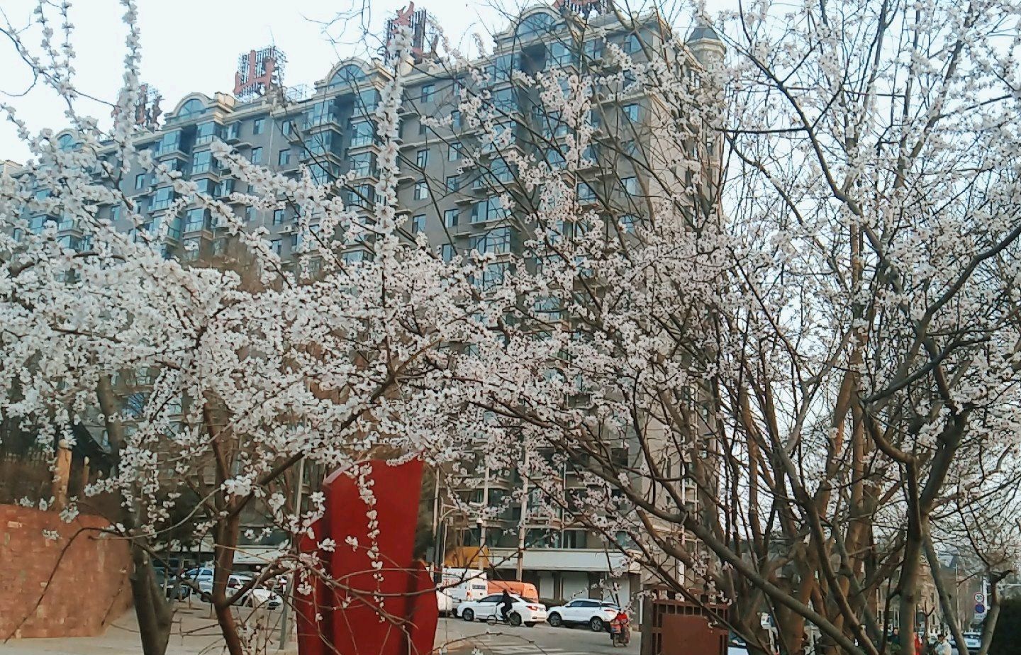 明月公园旅行图片 3