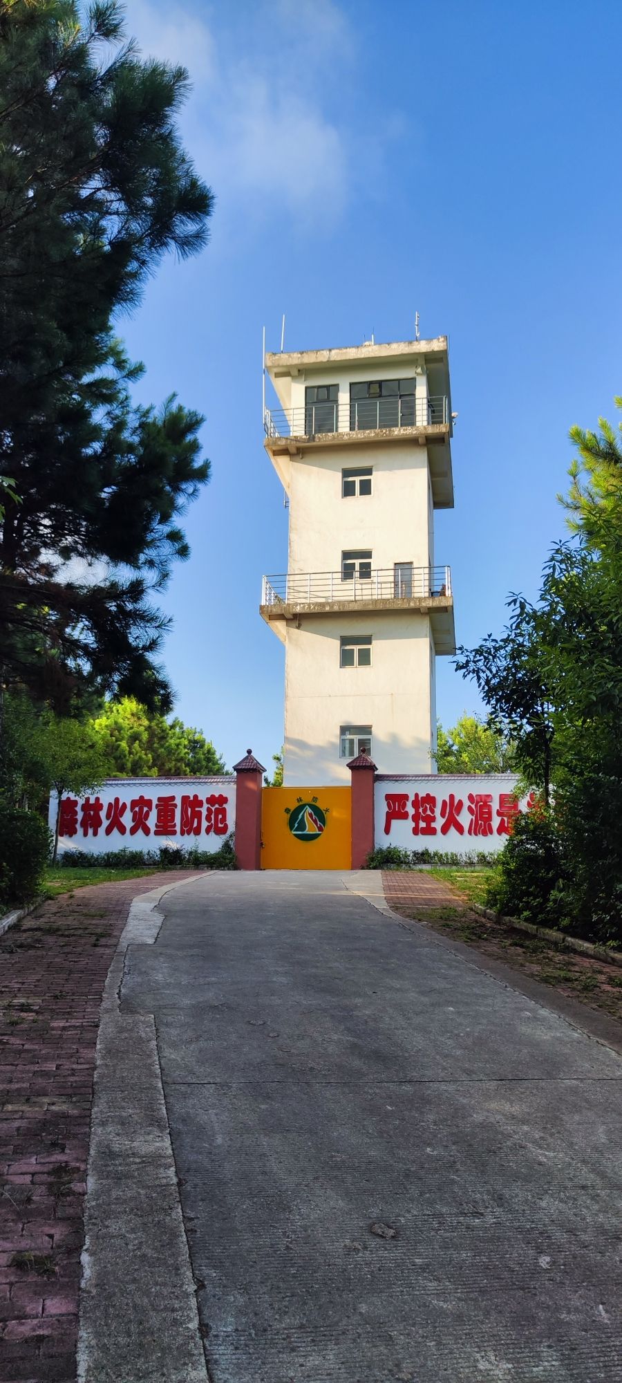 森林公园嘹望塔旅行图片 1