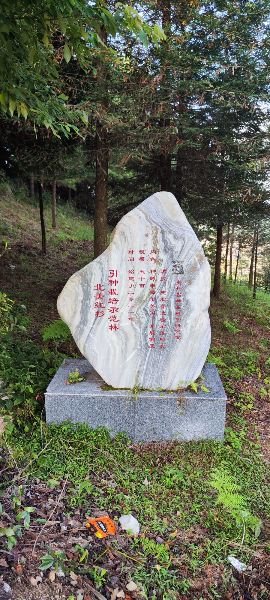 森林公园嘹望塔旅行图片 3