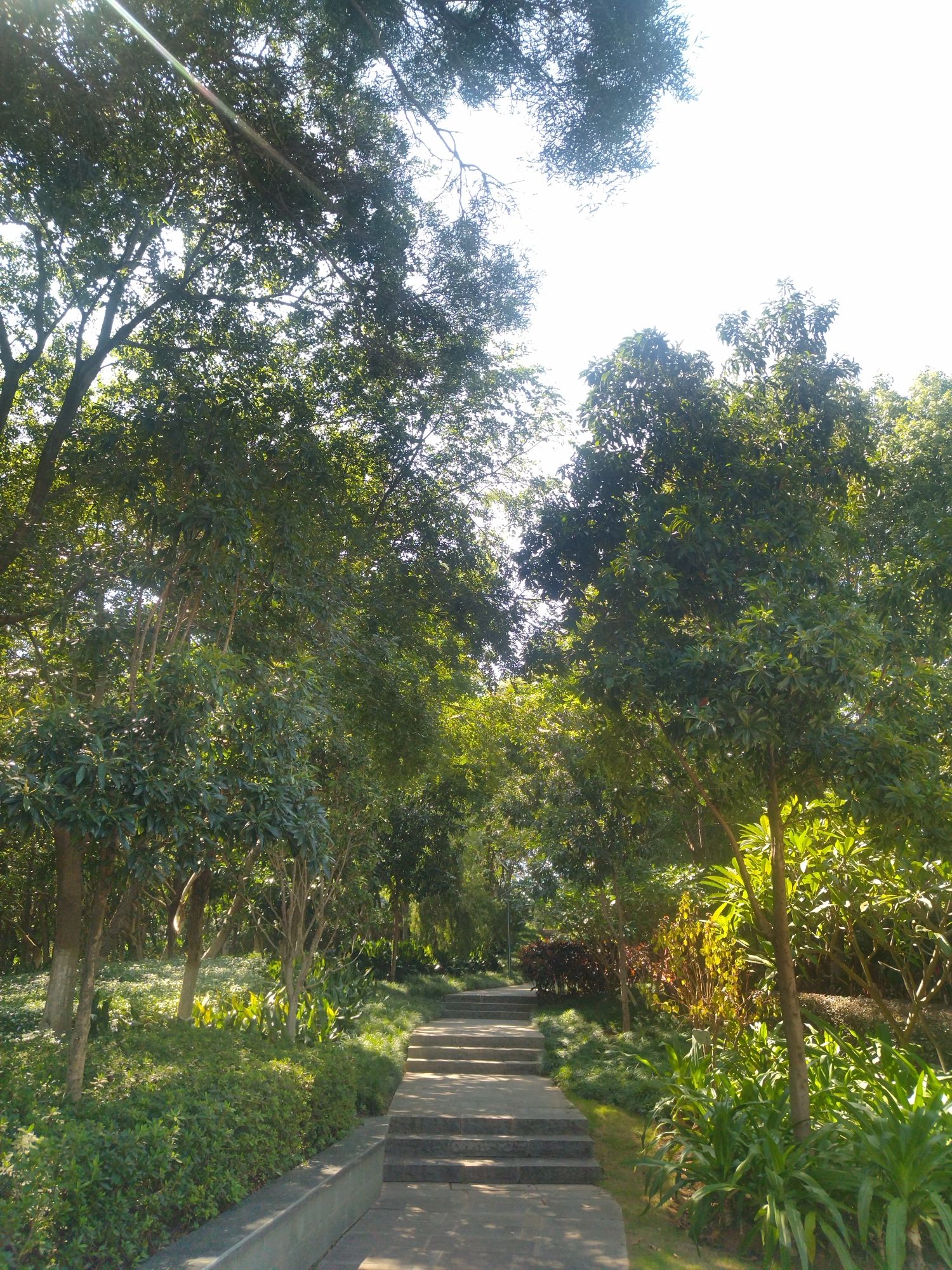 虎头山公园旅行图片 2