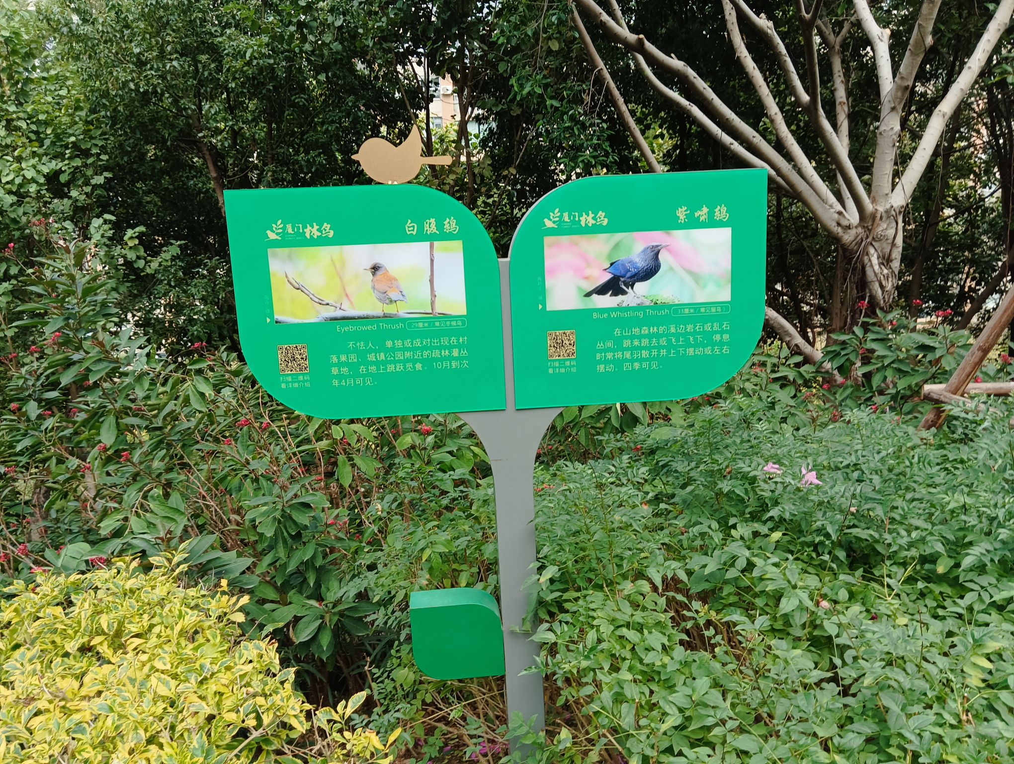 虎头山公园旅行图片 1