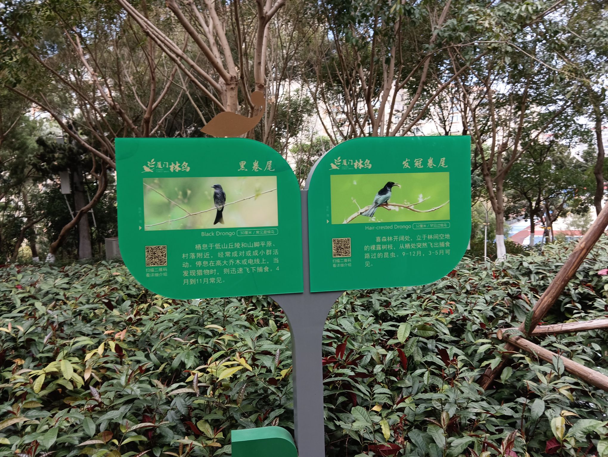 虎头山公园旅行图片 2