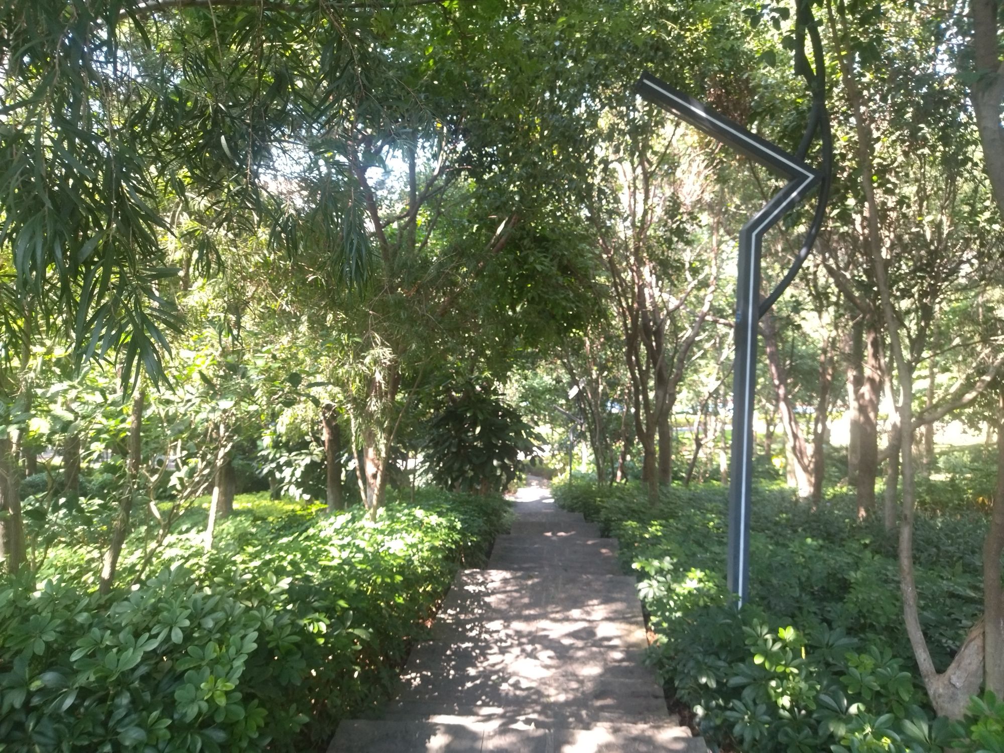 虎头山公园旅行图片 1