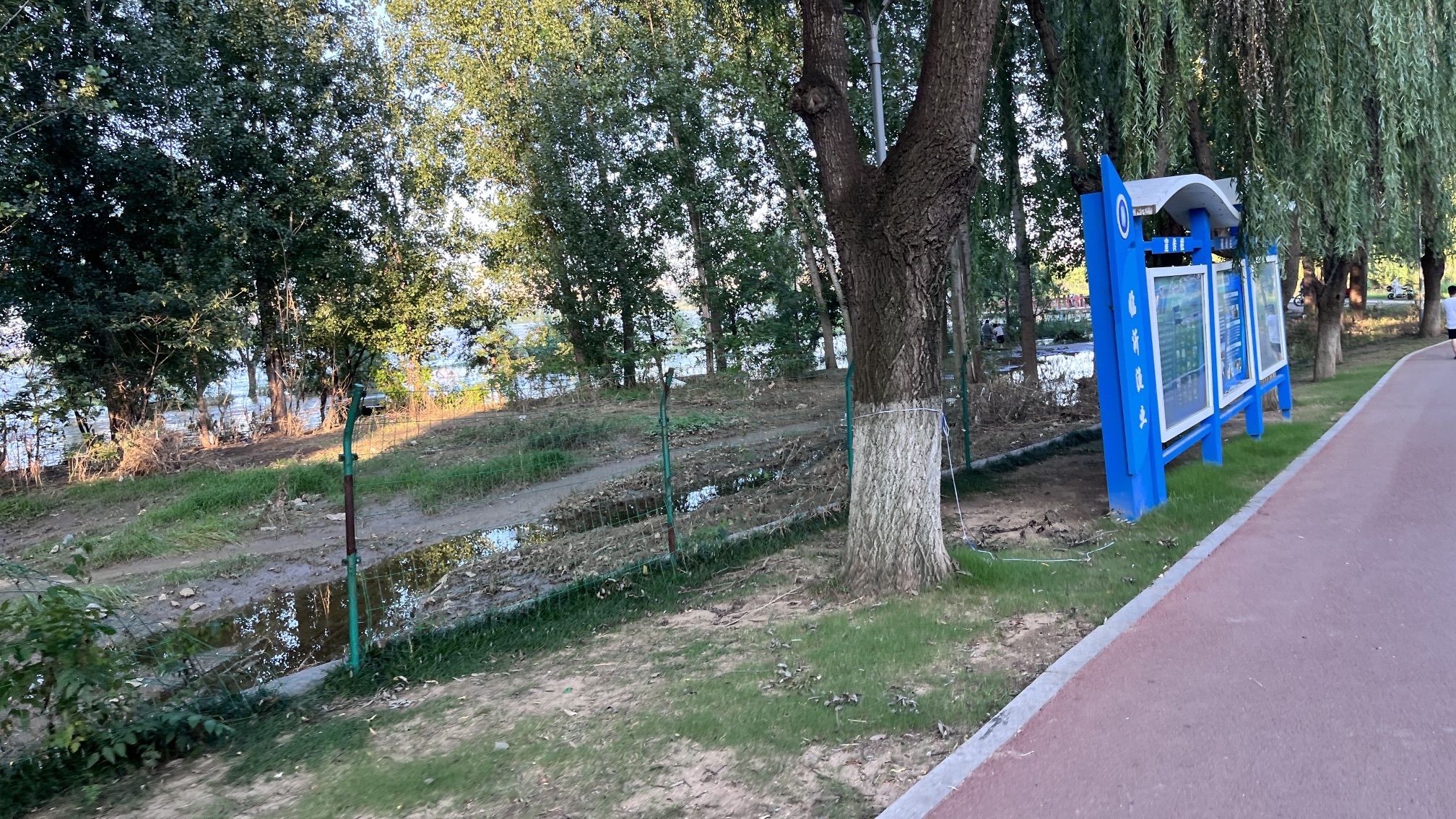 读书廊广场旅行图片 3