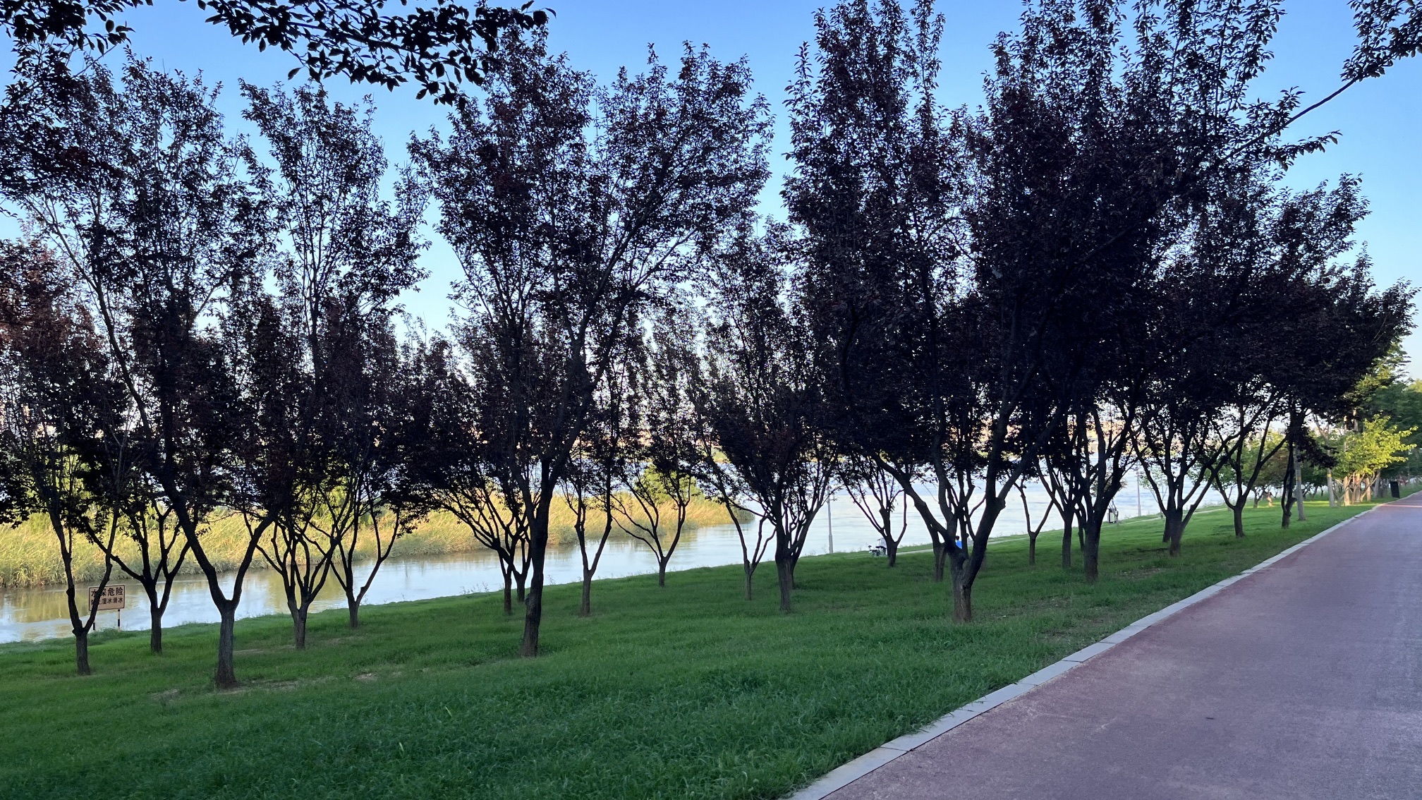 读书廊广场旅行图片 2