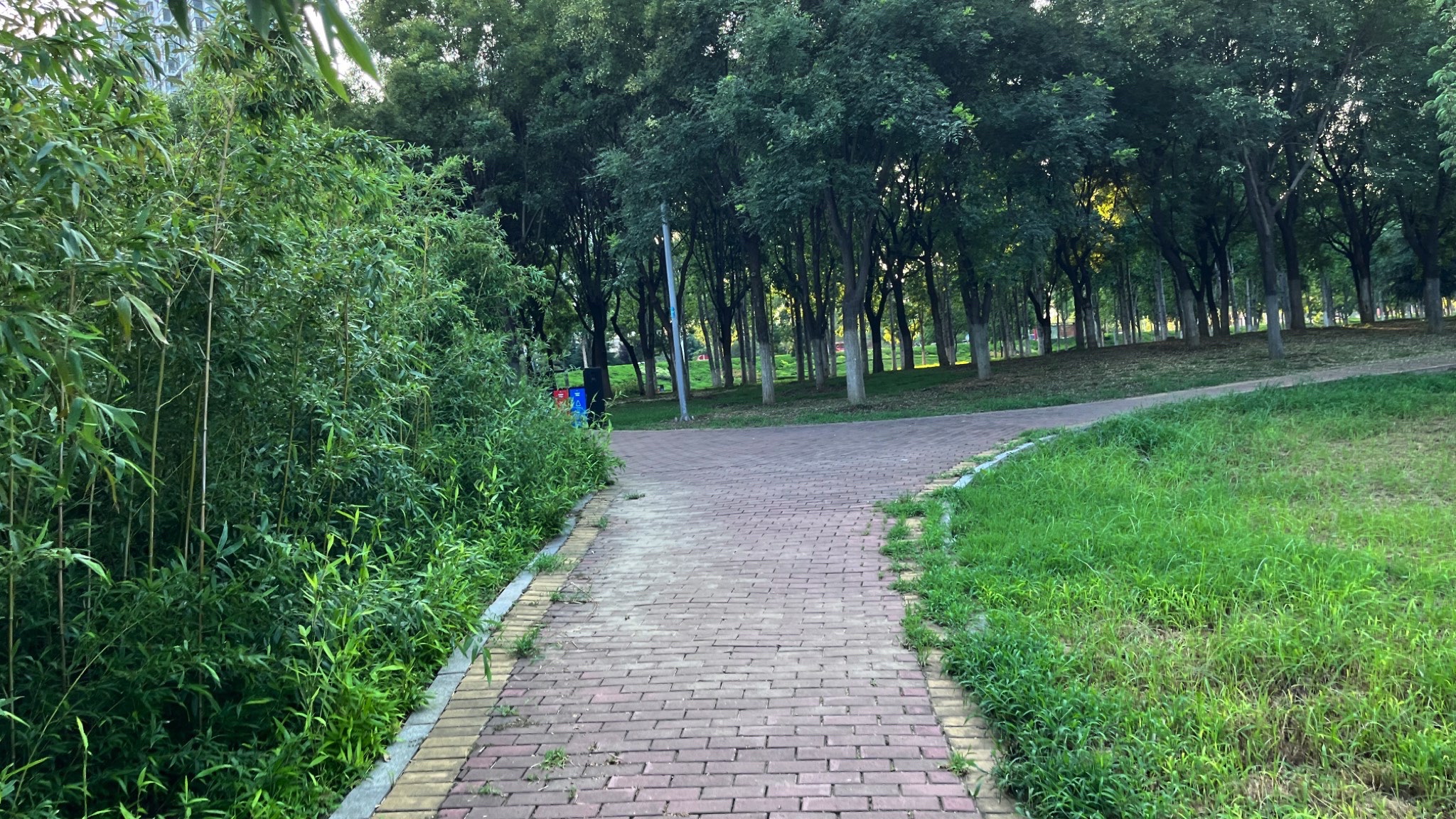 读书廊广场旅行图片 1