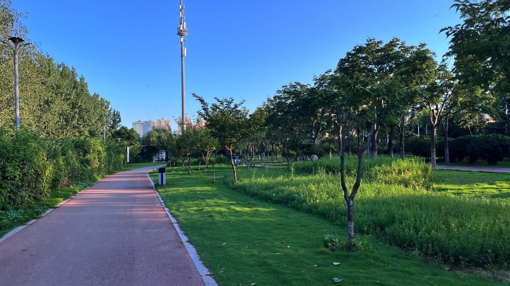 读书廊广场旅行图片 1