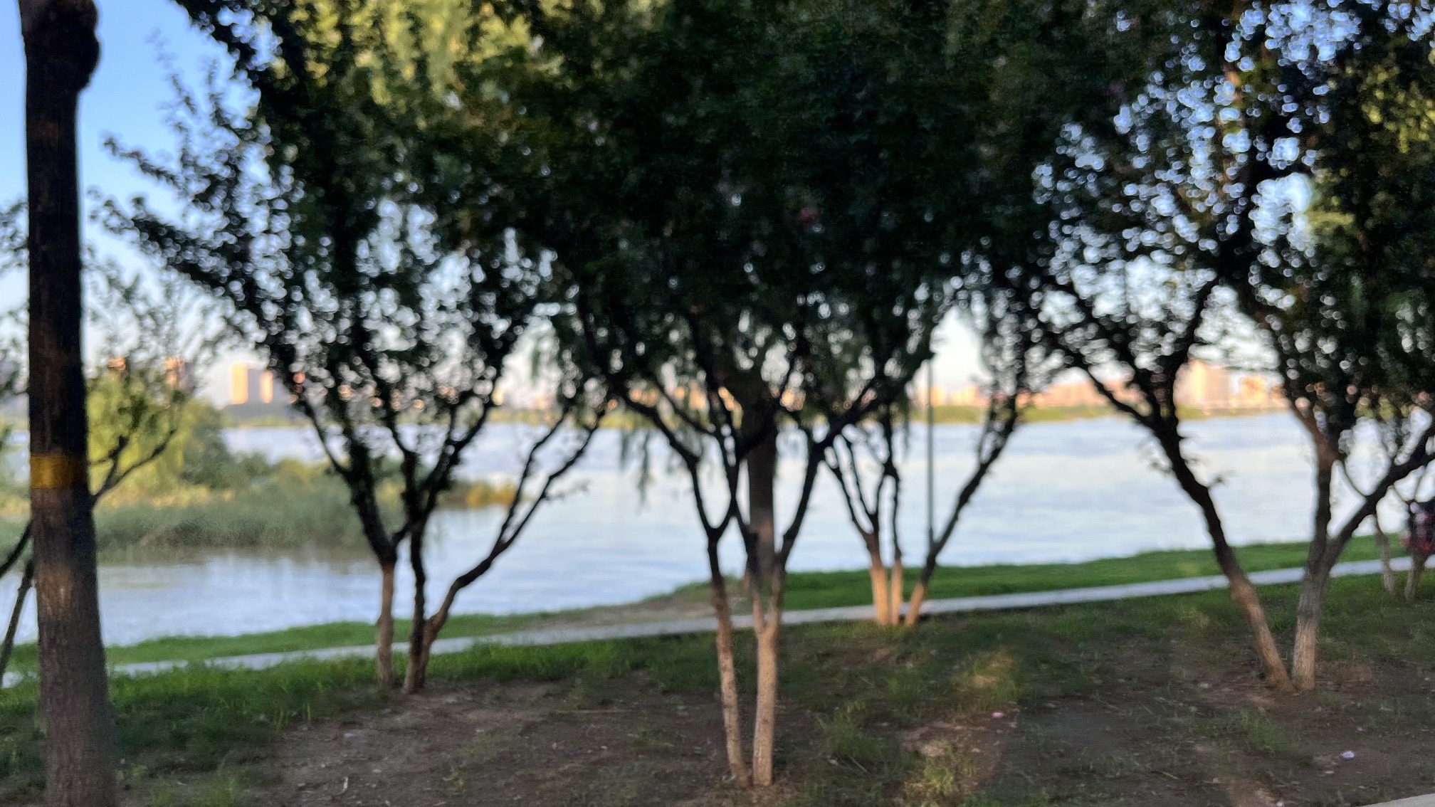 读书廊广场旅行图片