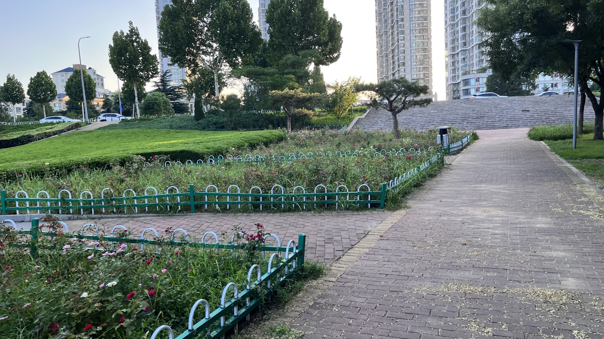 读书廊广场旅行图片 3