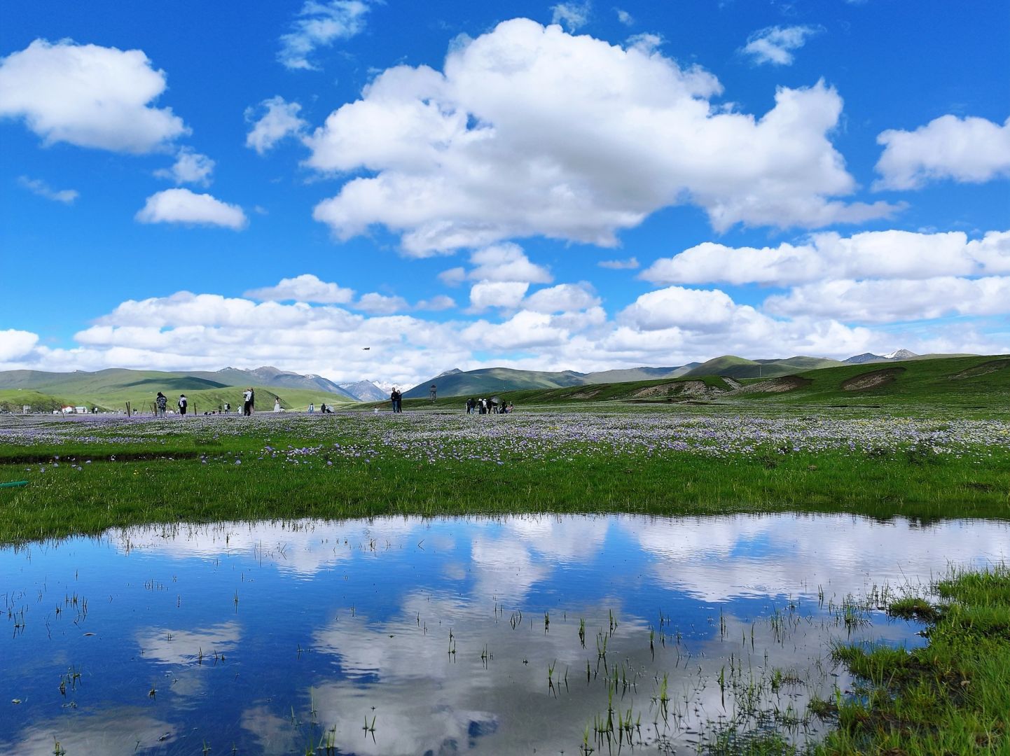 俄木塘旅行图片 2