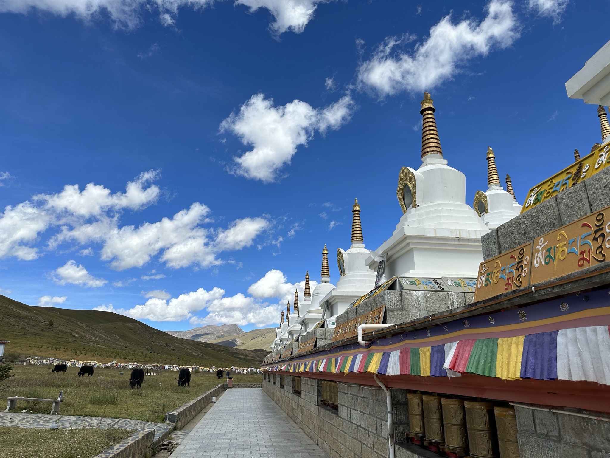 稻城白塔旅行图片 1