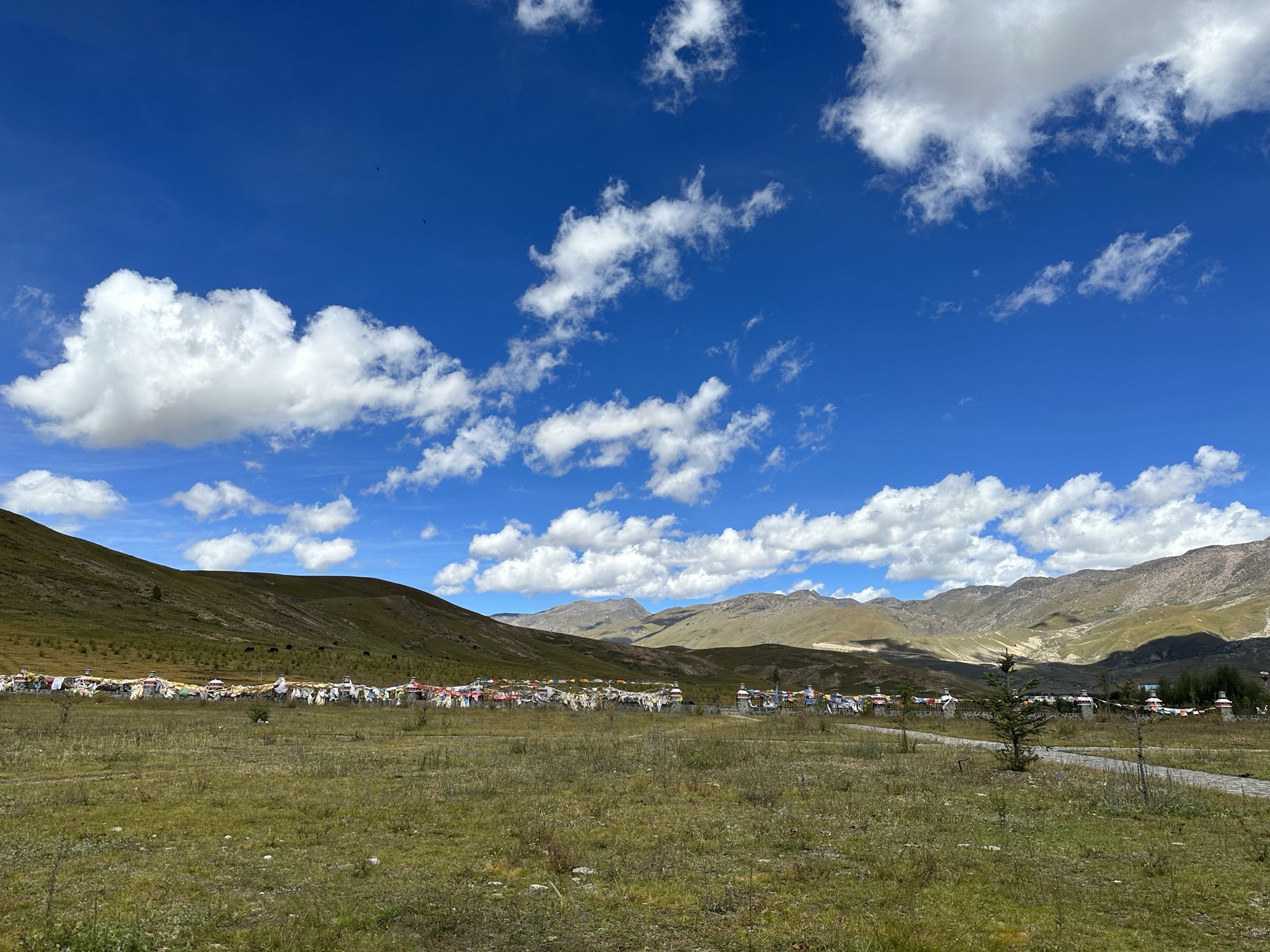 稻城白塔旅行图片 2
