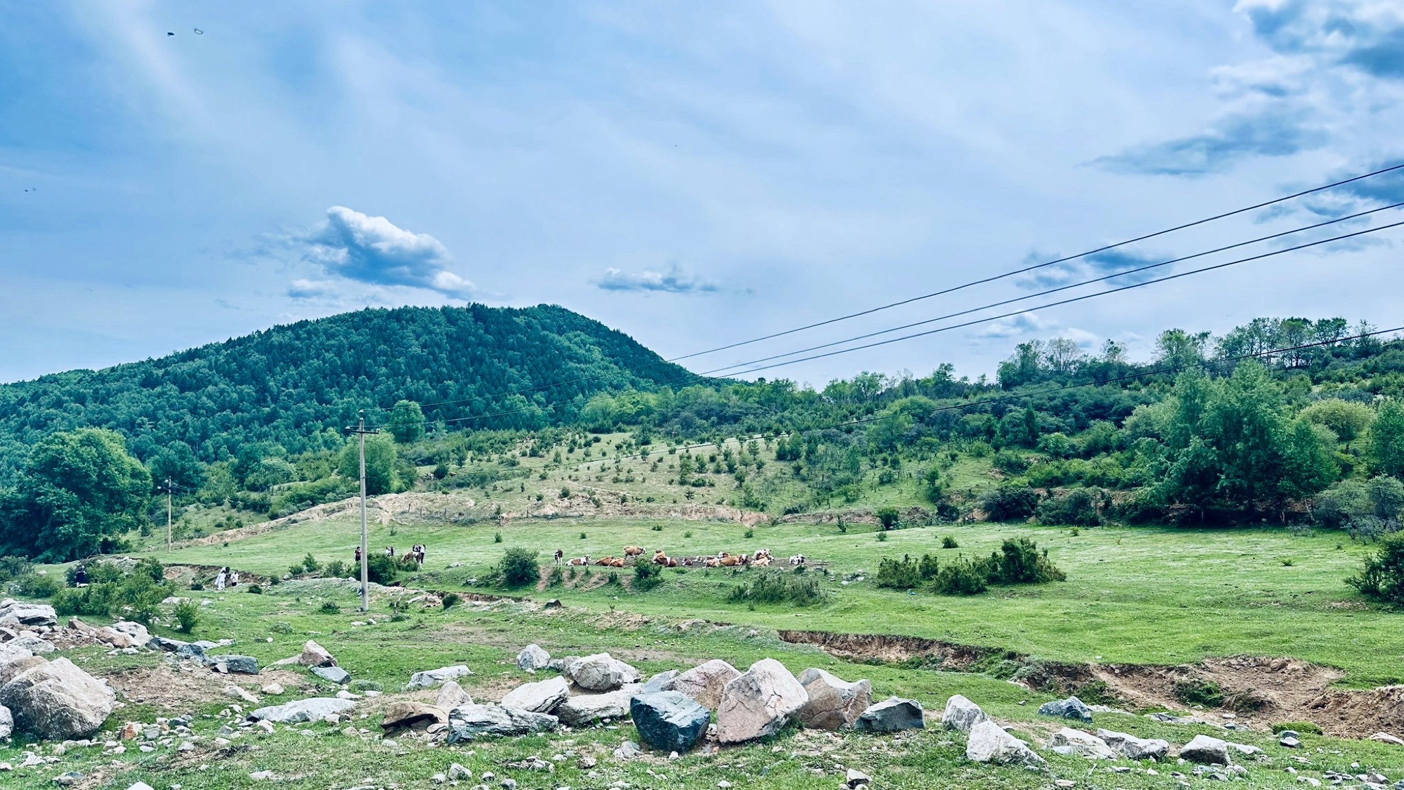 云顶山风光旅行图片 1