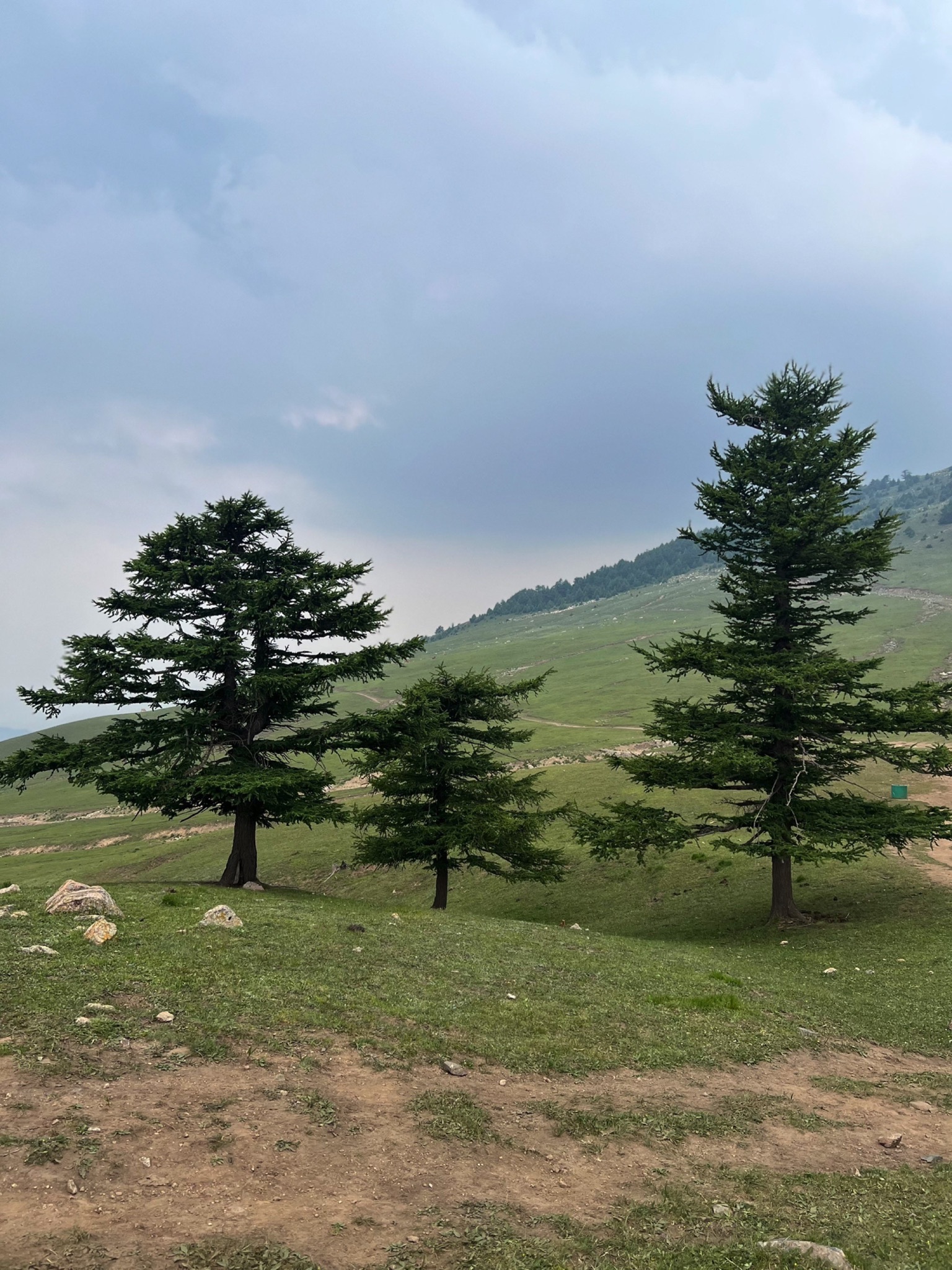 云顶山风光旅行图片 3