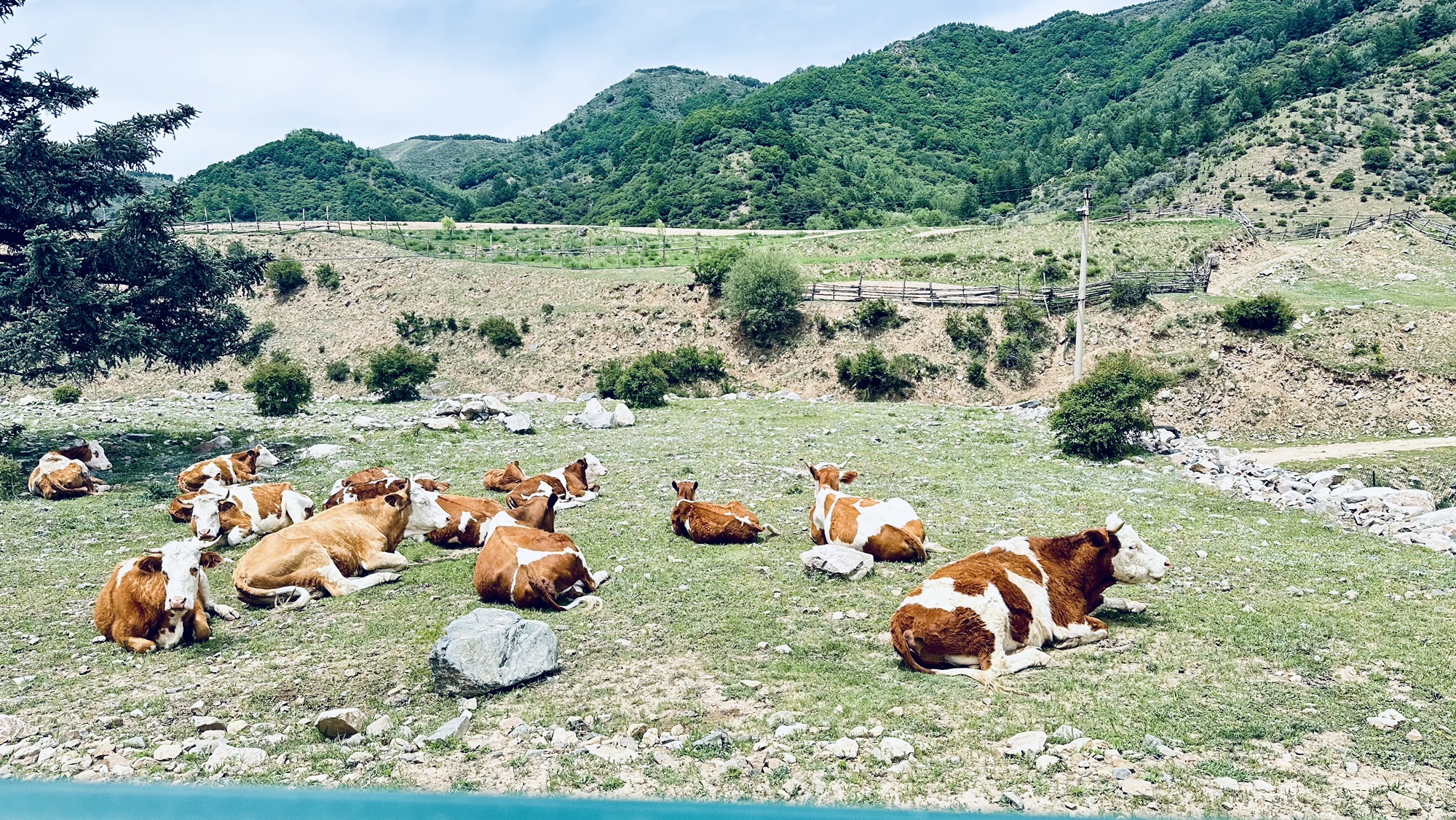 云顶山风光旅行图片 2