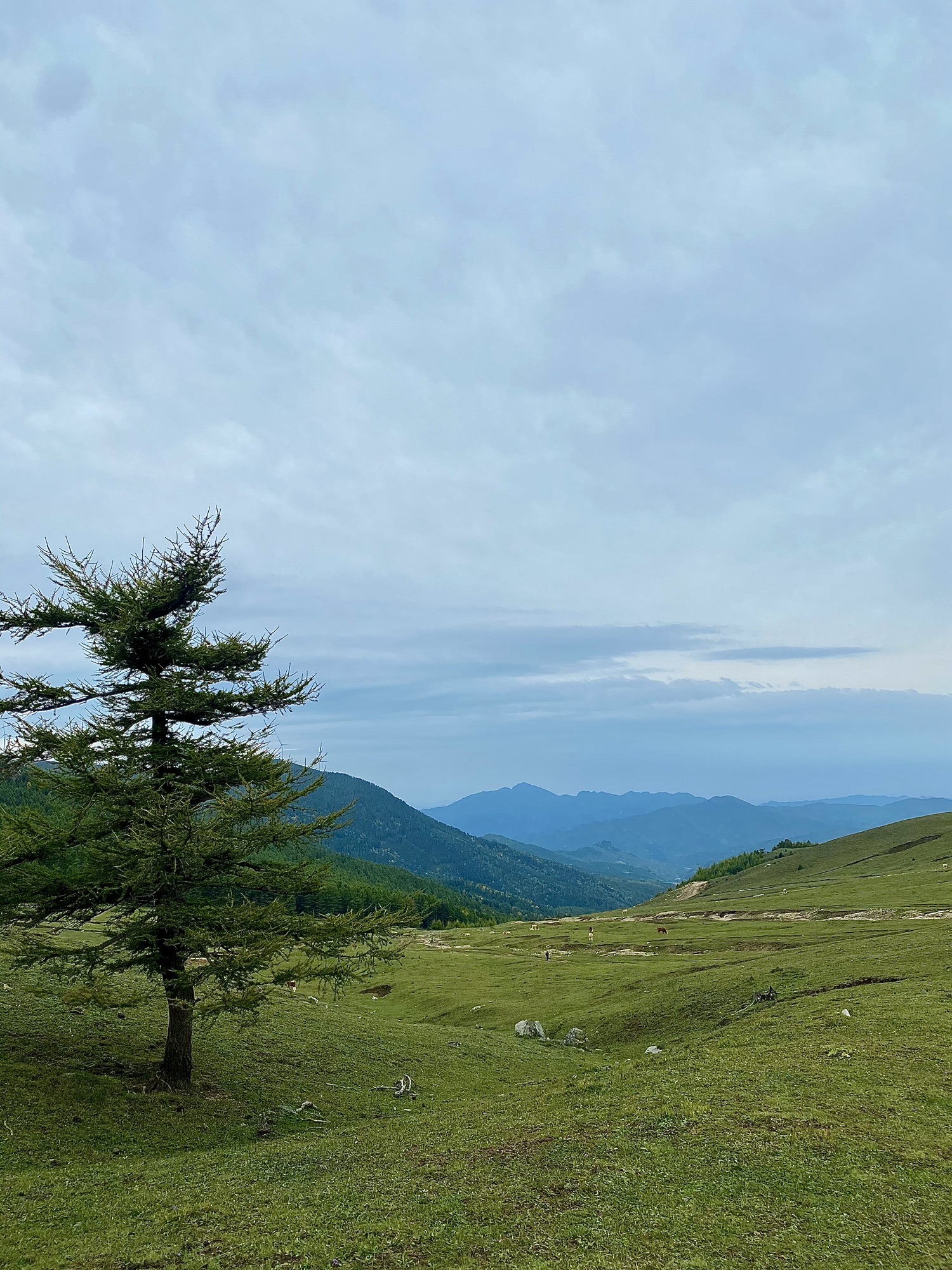 云顶山风光旅行图片 2