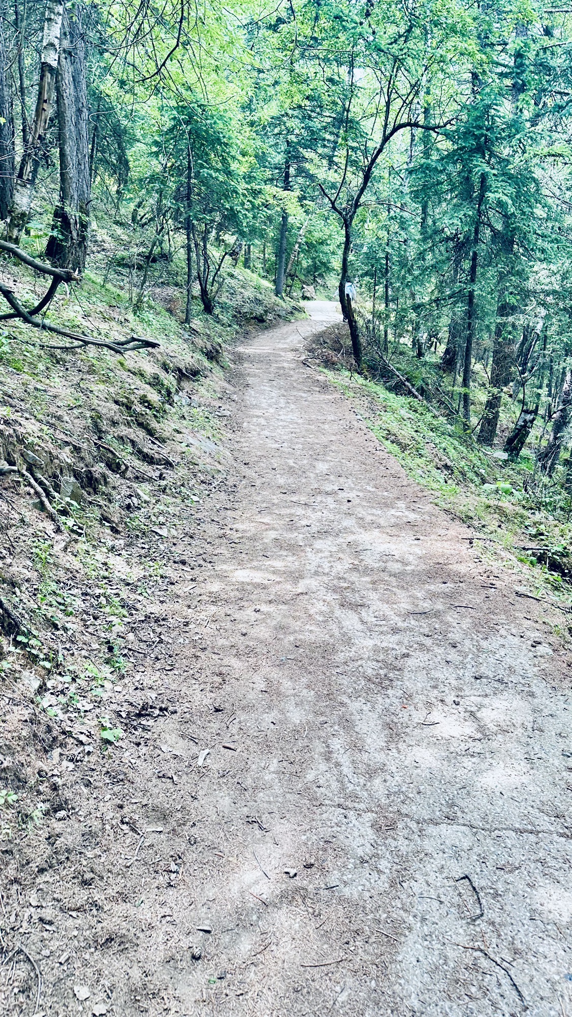云顶山风光旅行图片 3