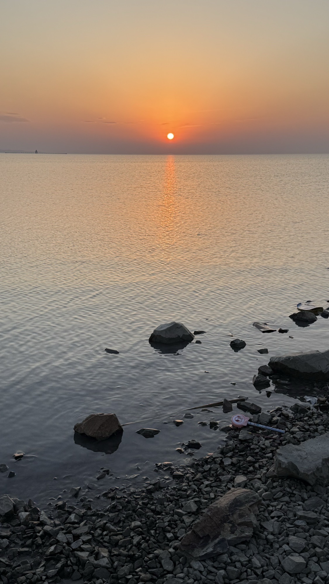 丽波湾旅行图片 1