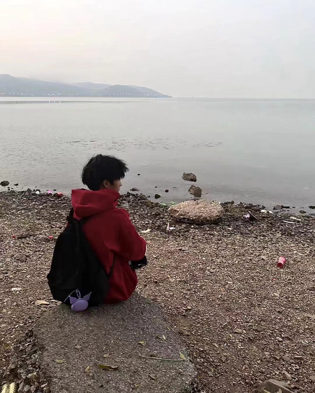 丽波湾旅行图片 2