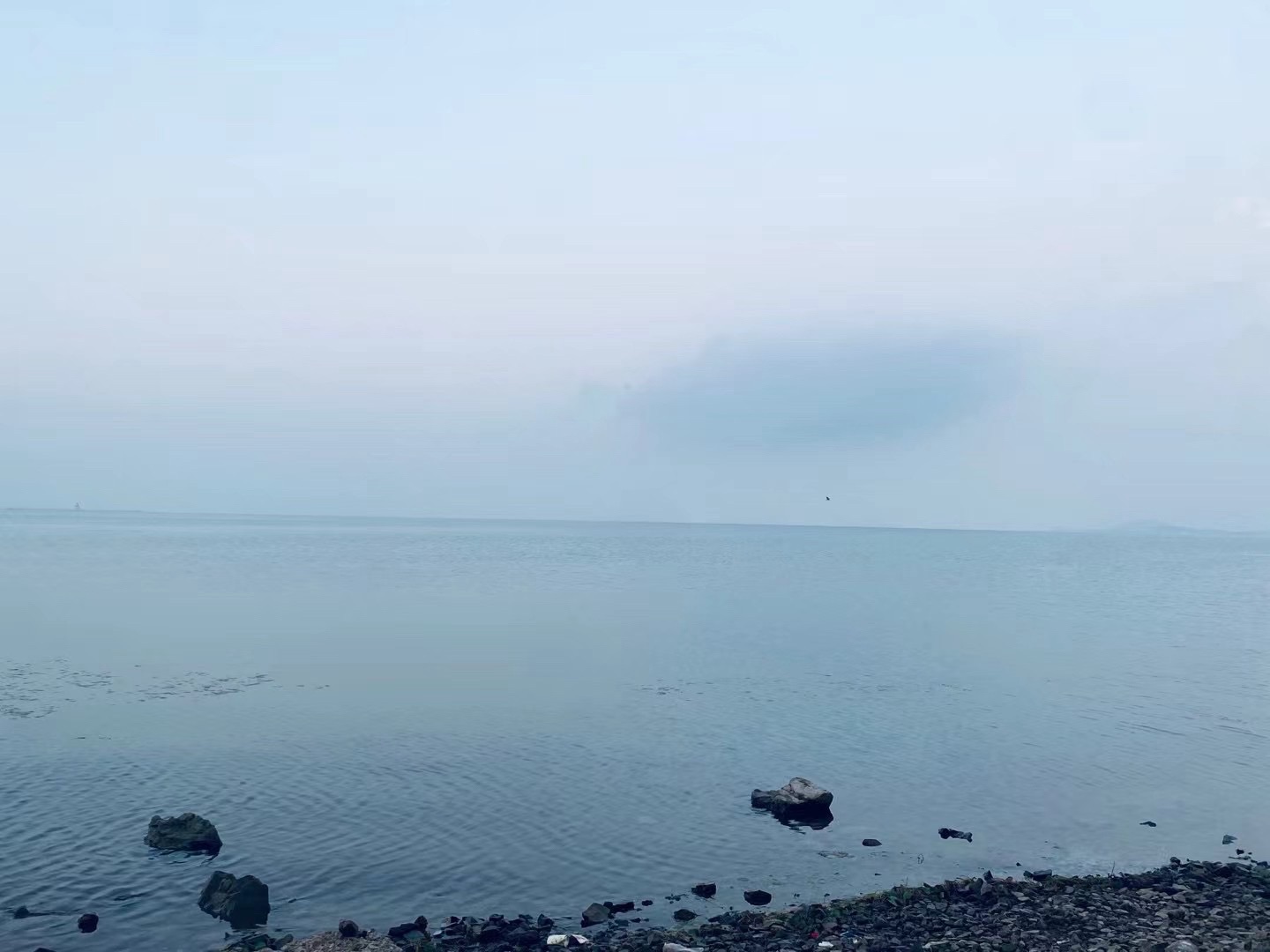 丽波湾旅行图片 1