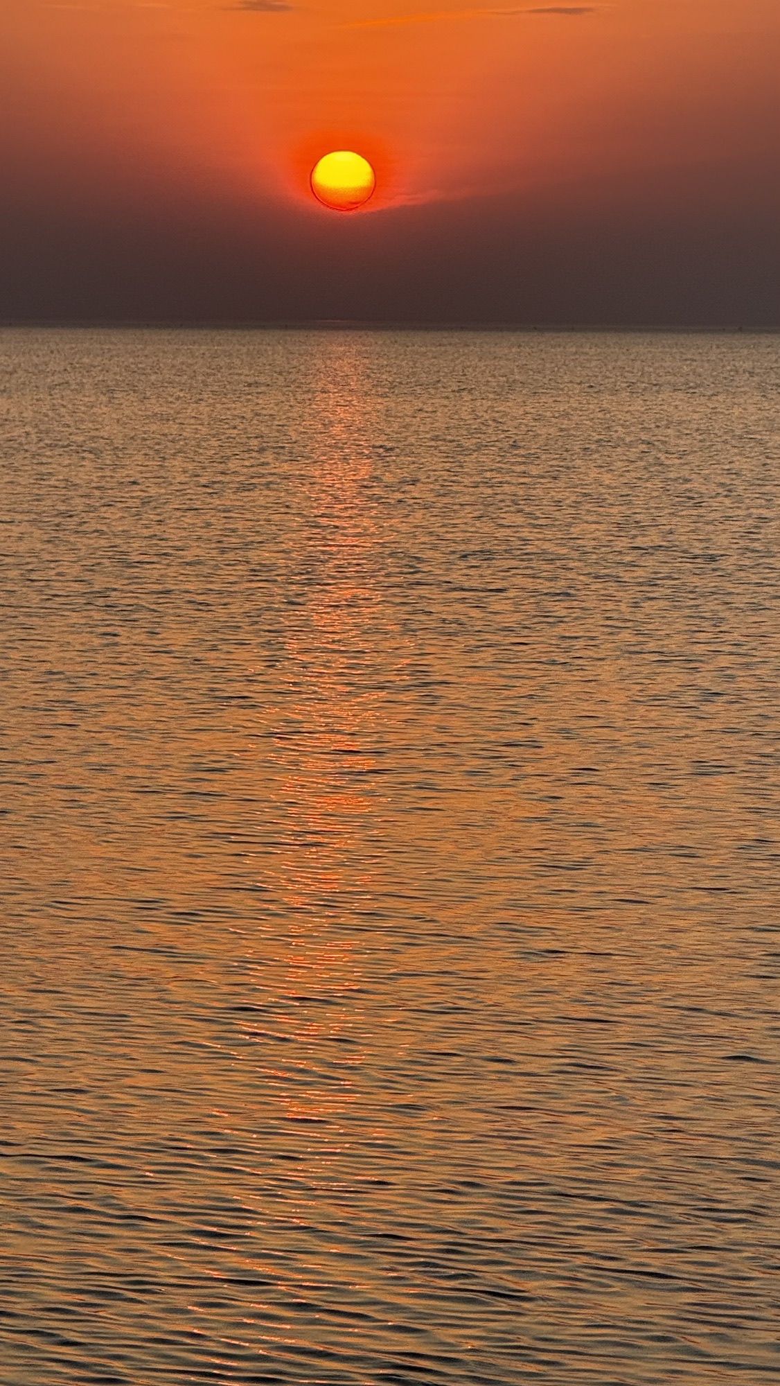 丽波湾旅行图片 2