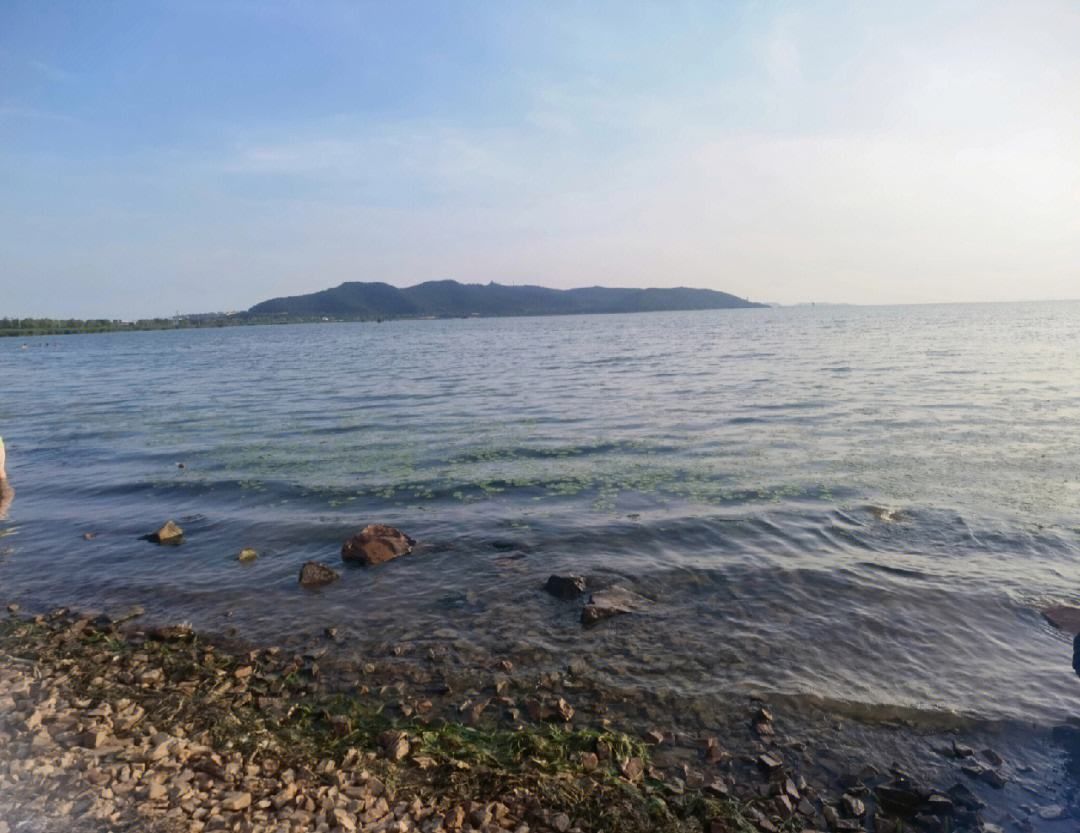 丽波湾旅行图片 1