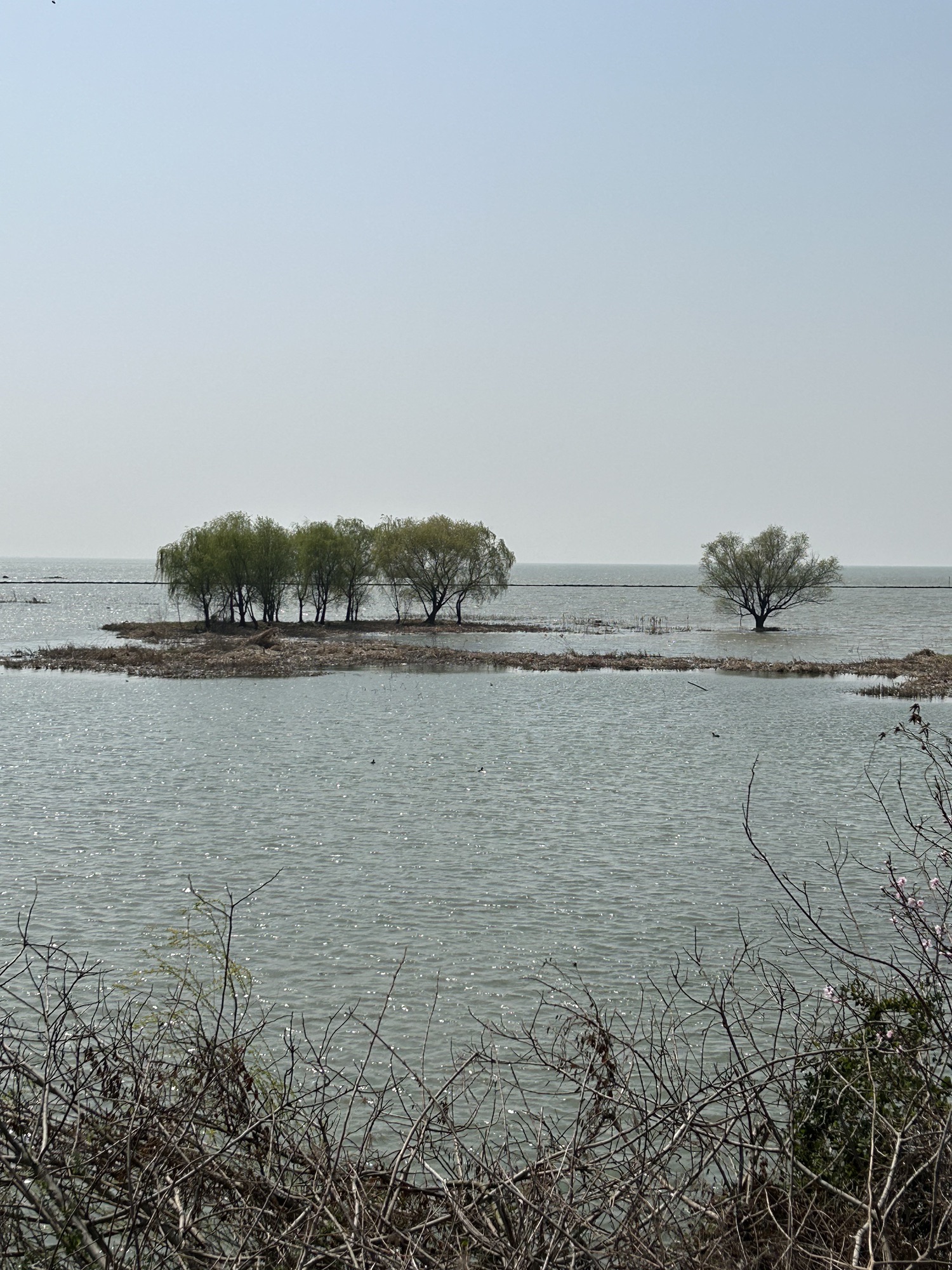 丽波湾旅行图片 2