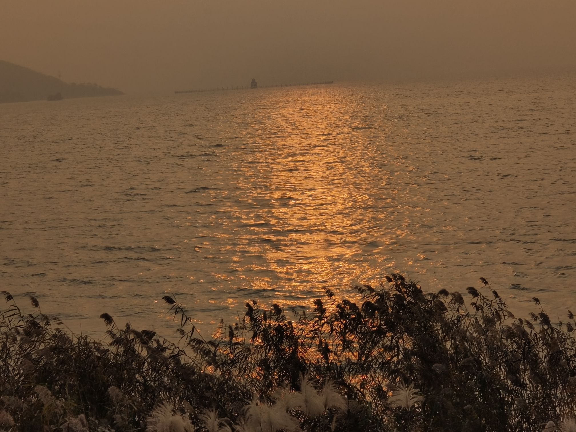 丽波湾旅行图片 1
