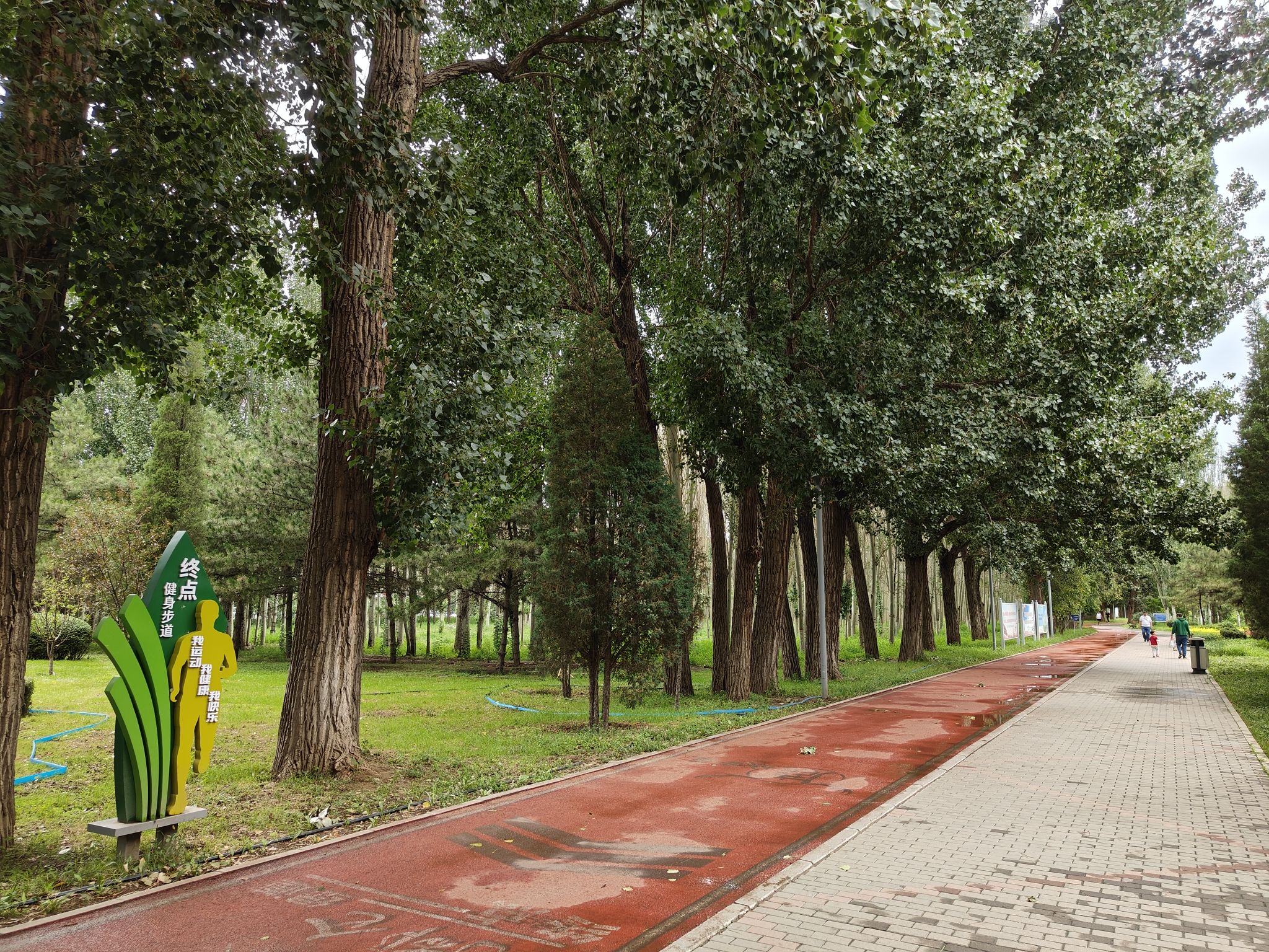 阿尔丁植物园旅行图片 3