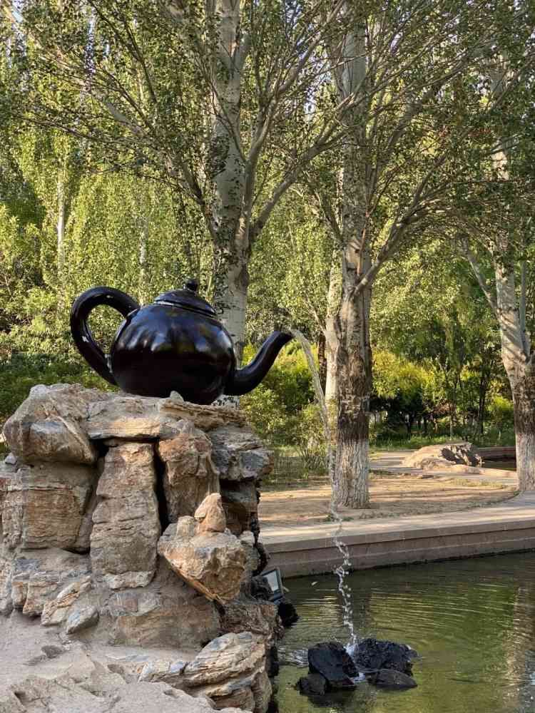 阿尔丁植物园旅行图片 3