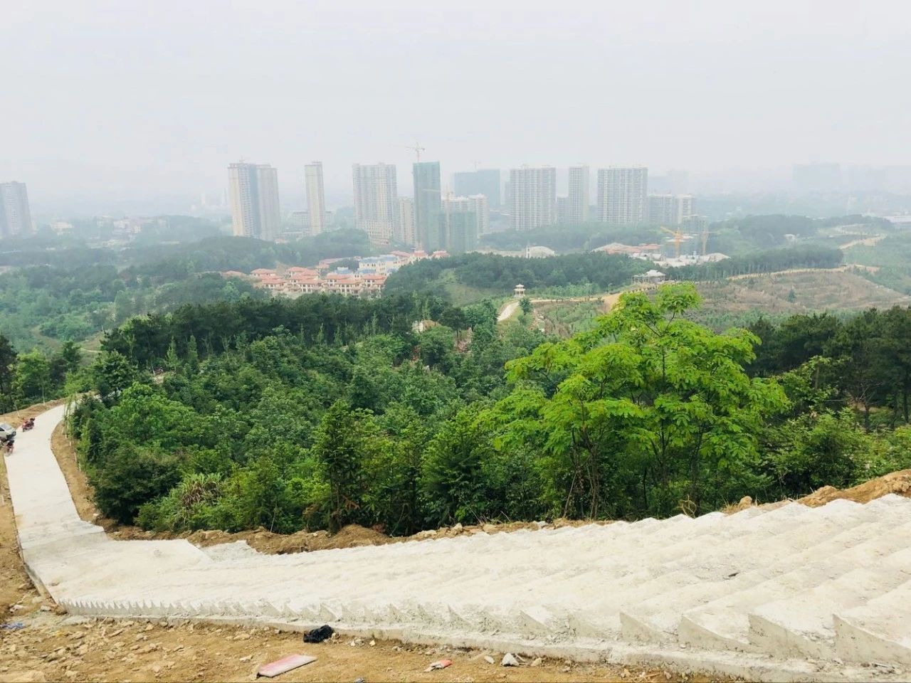 独山森林公园