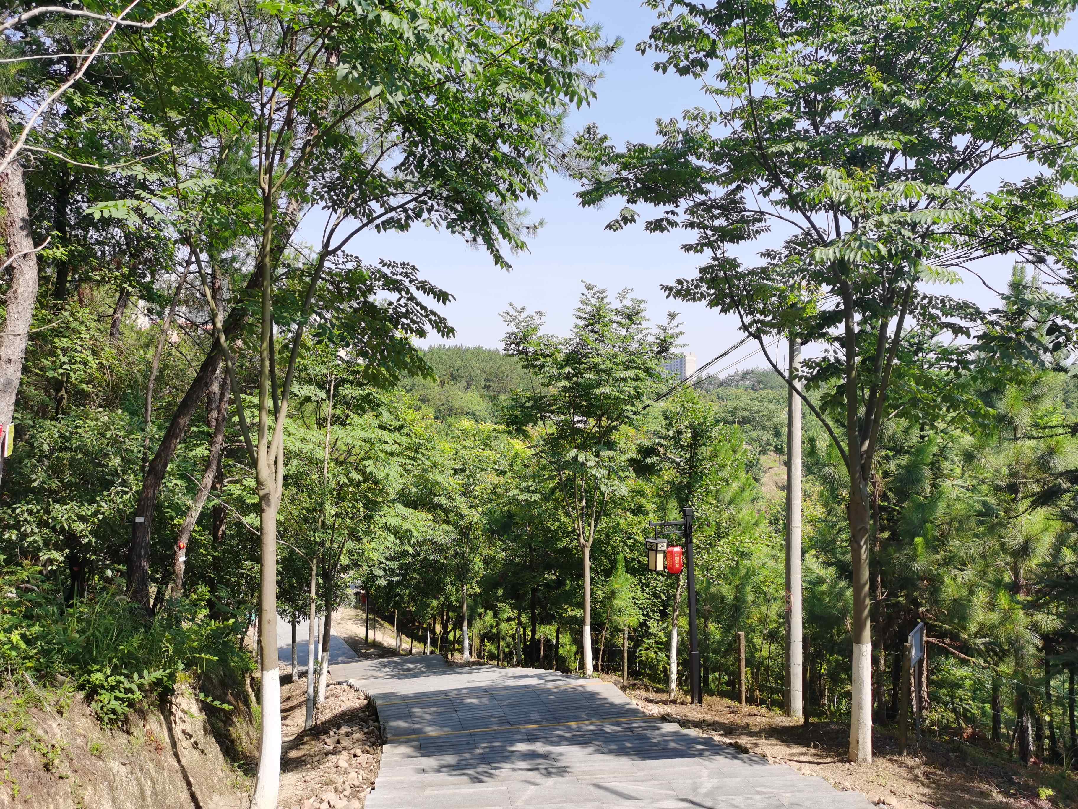 独山森林公园