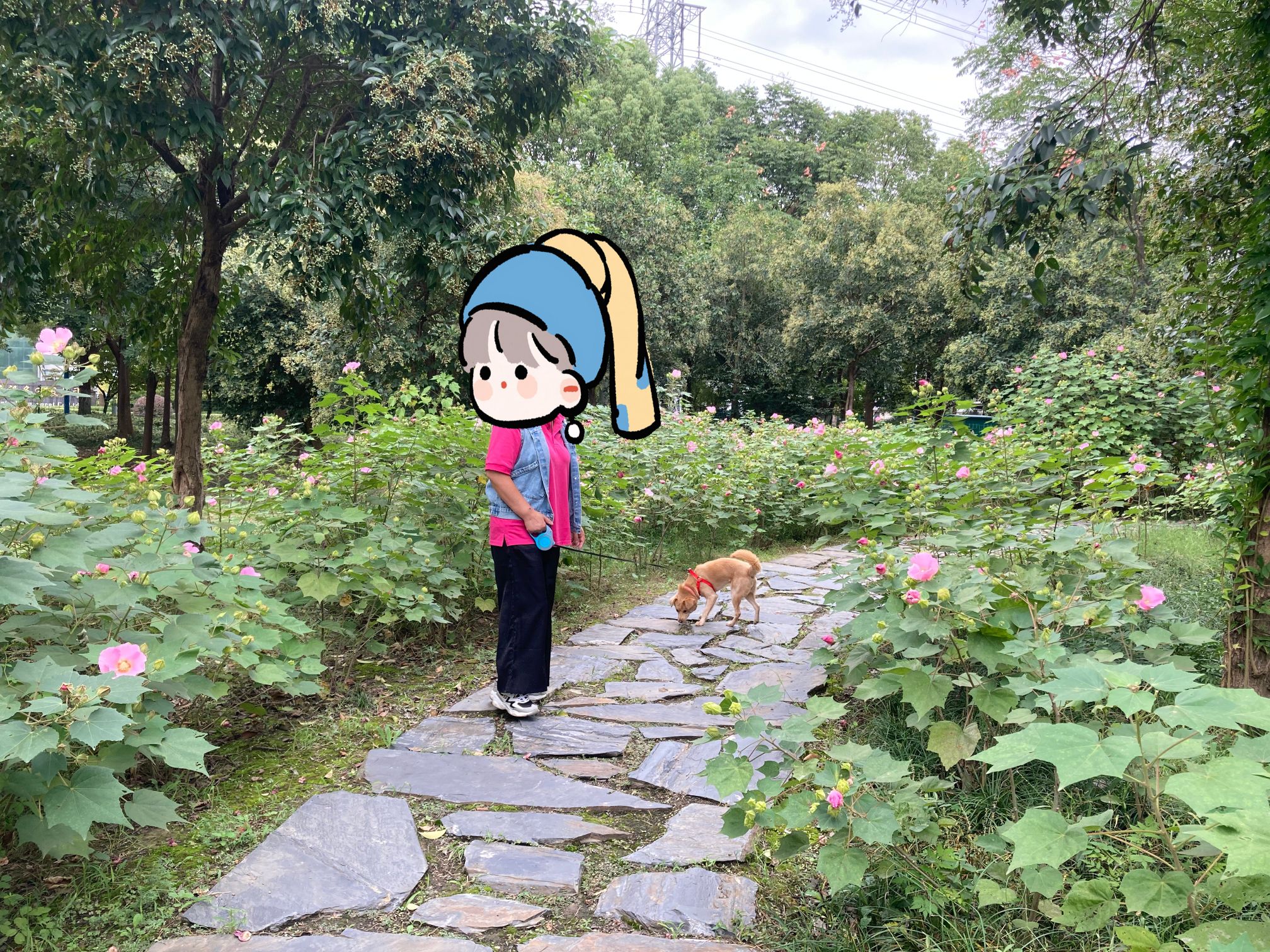 光伏产业公园旅行图片 3
