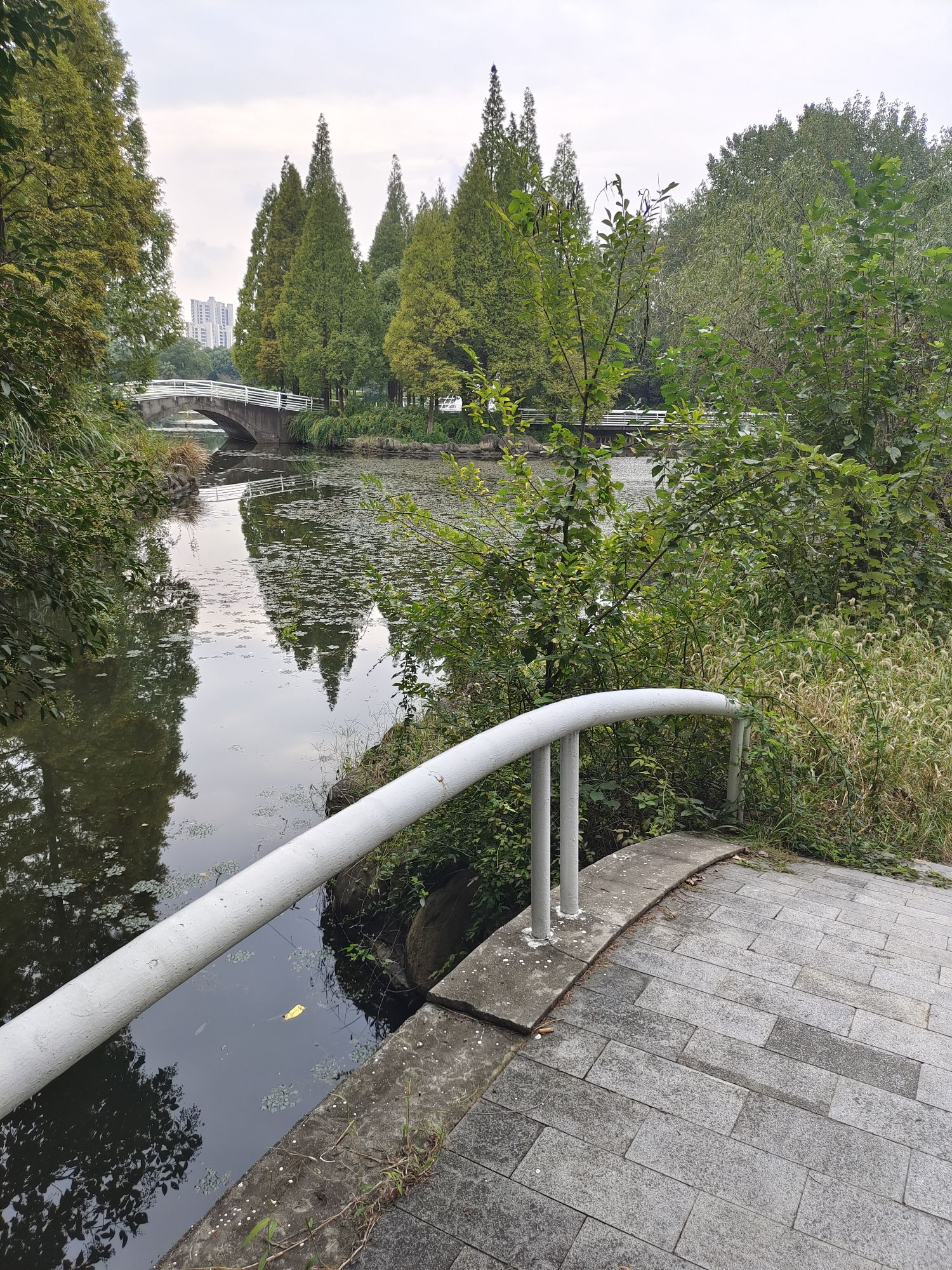 光伏产业公园旅行图片 3