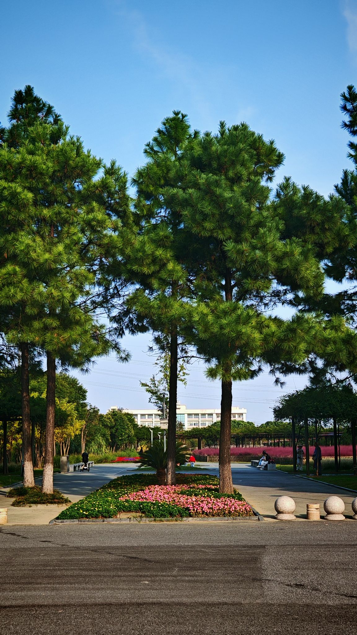 光伏产业公园旅行图片 1