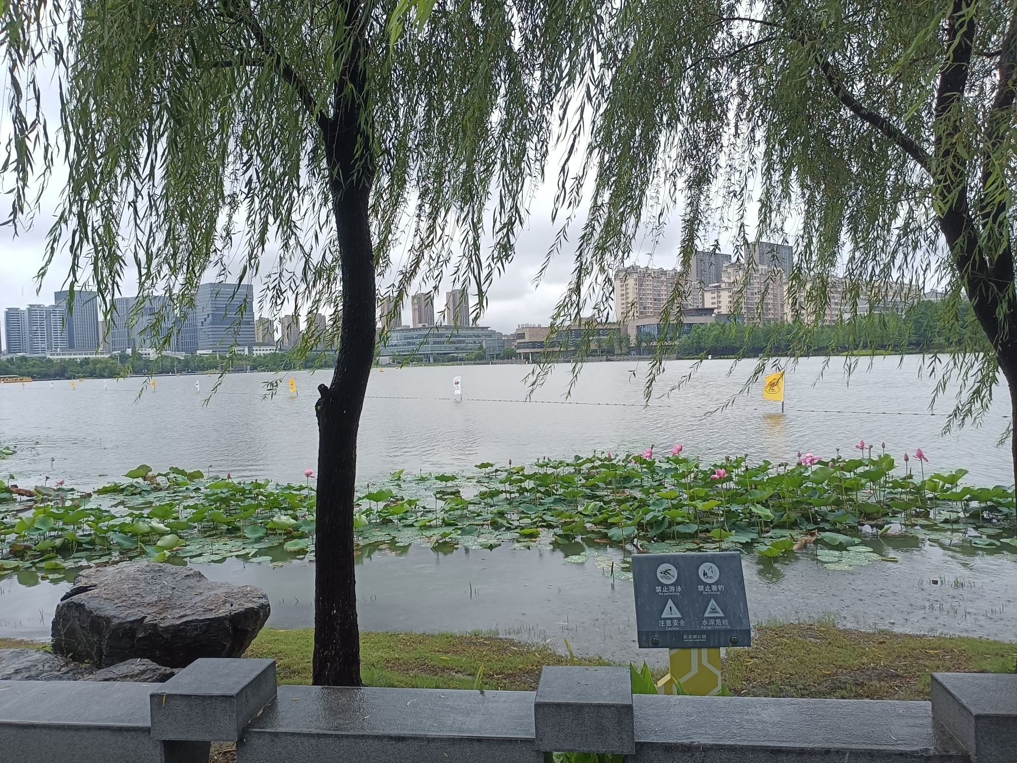 新龙湖公园旅行图片 2
