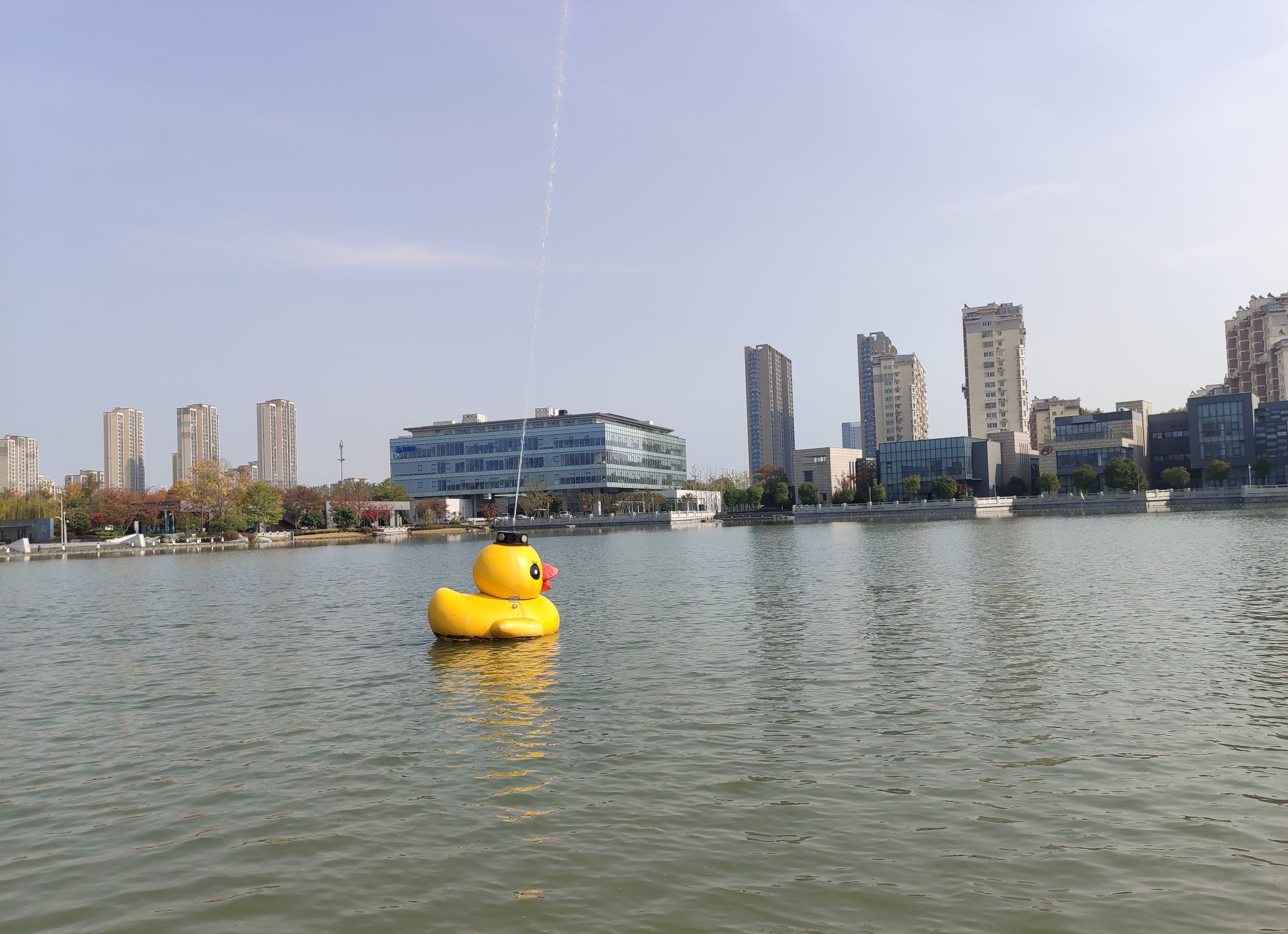 新龙湖公园旅行图片 2