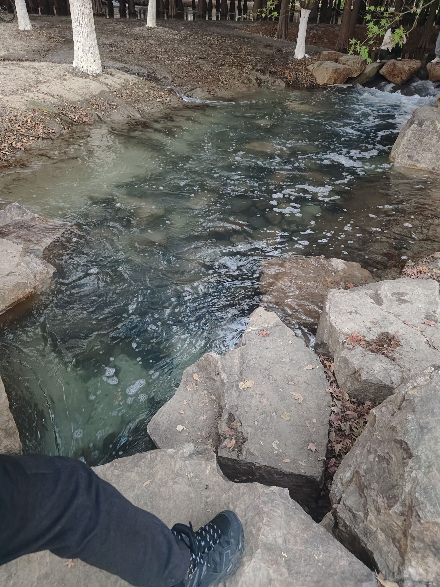 新龙湖公园旅行图片 3