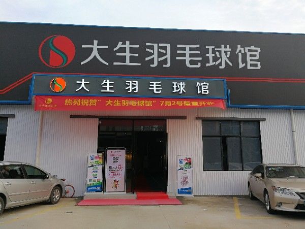 场地封面-大生智能羽毛球馆