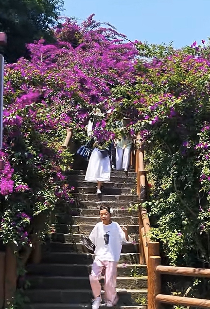五彩荷园旅行图片 1