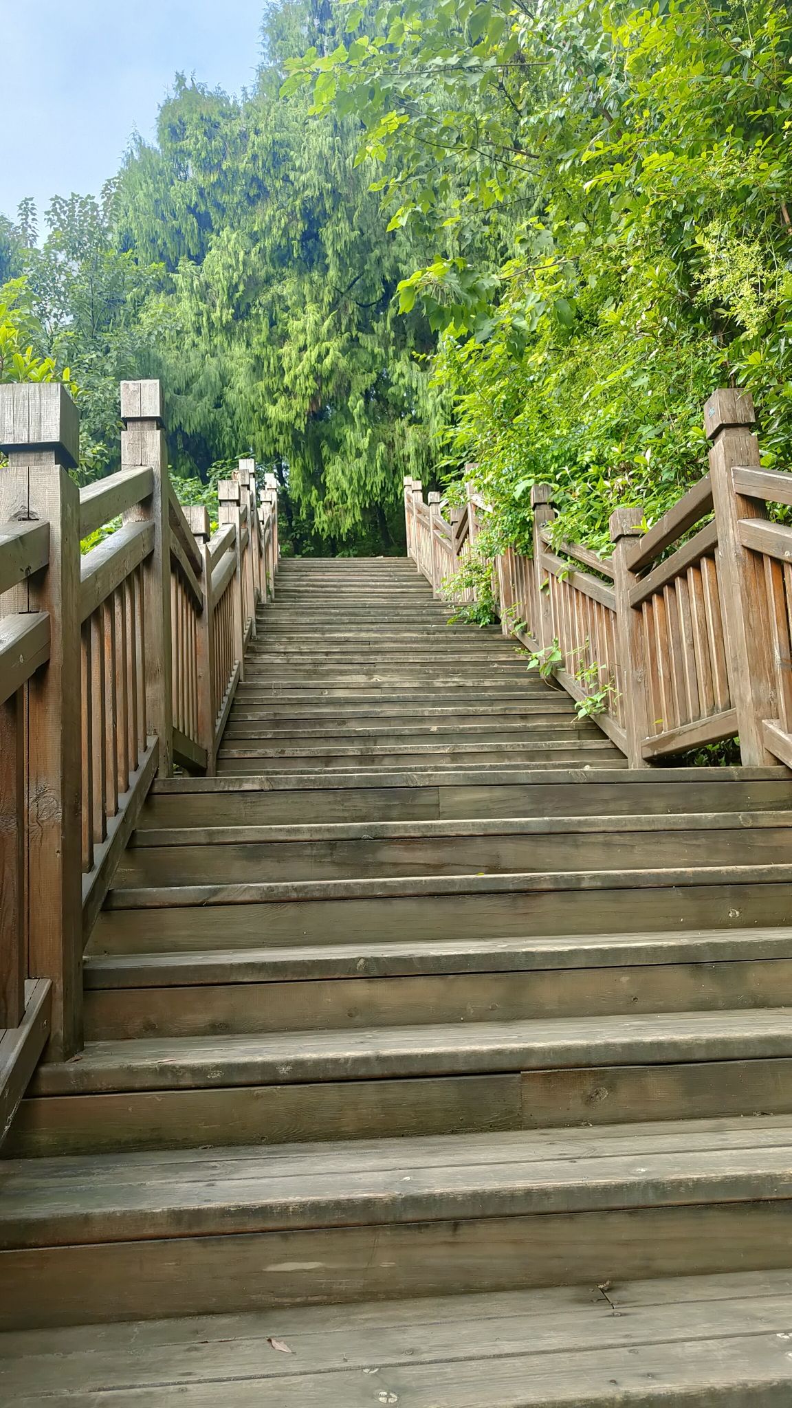 望王山运动公园旅行图片 1