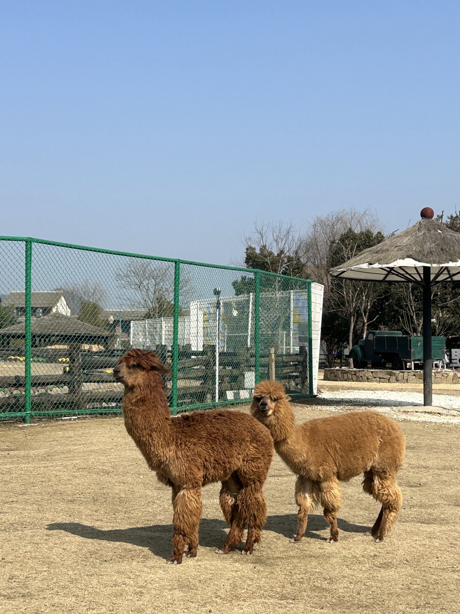 原乡小镇度假乐园旅行图片 2