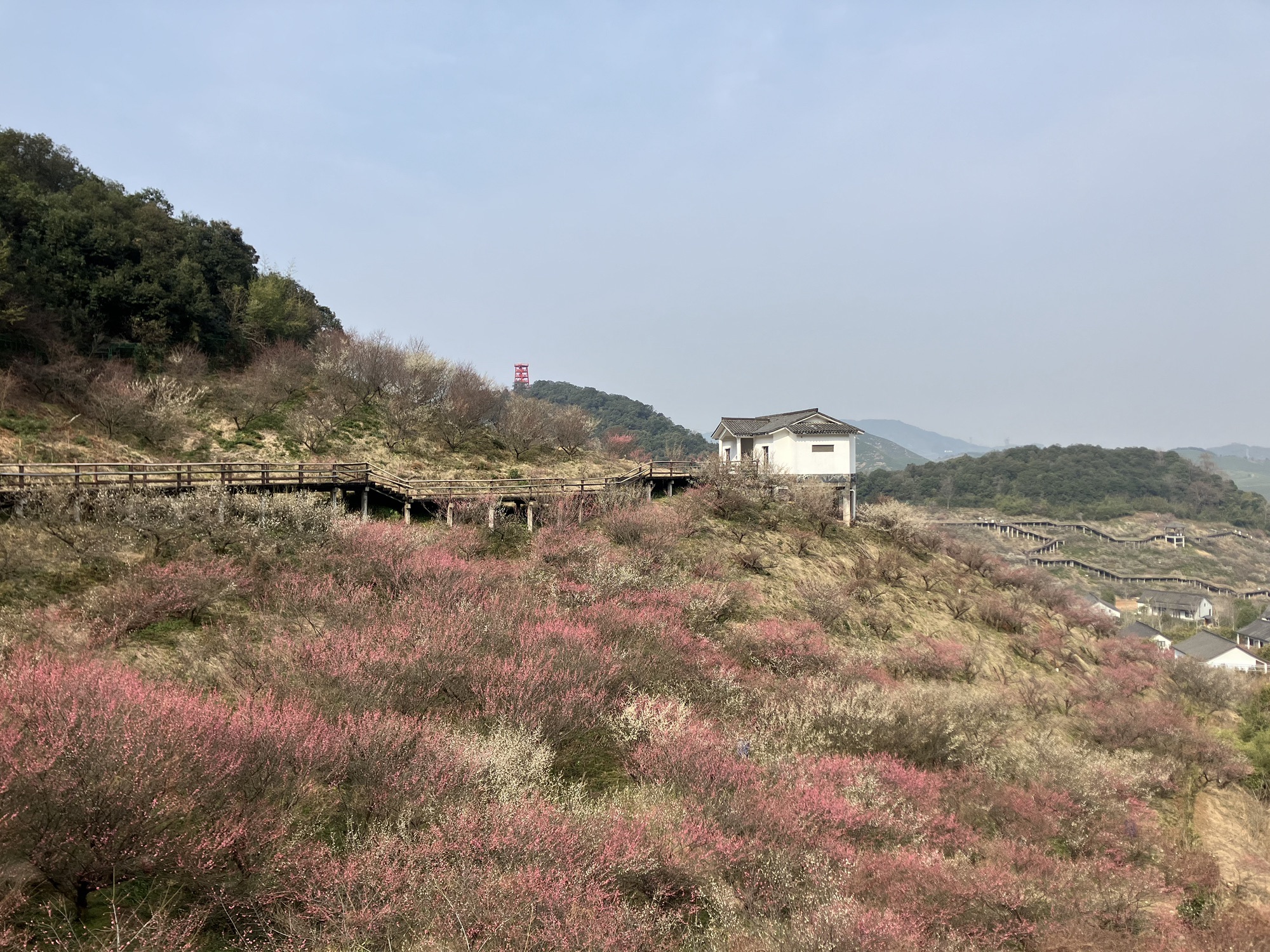 原乡小镇度假乐园旅行图片 2