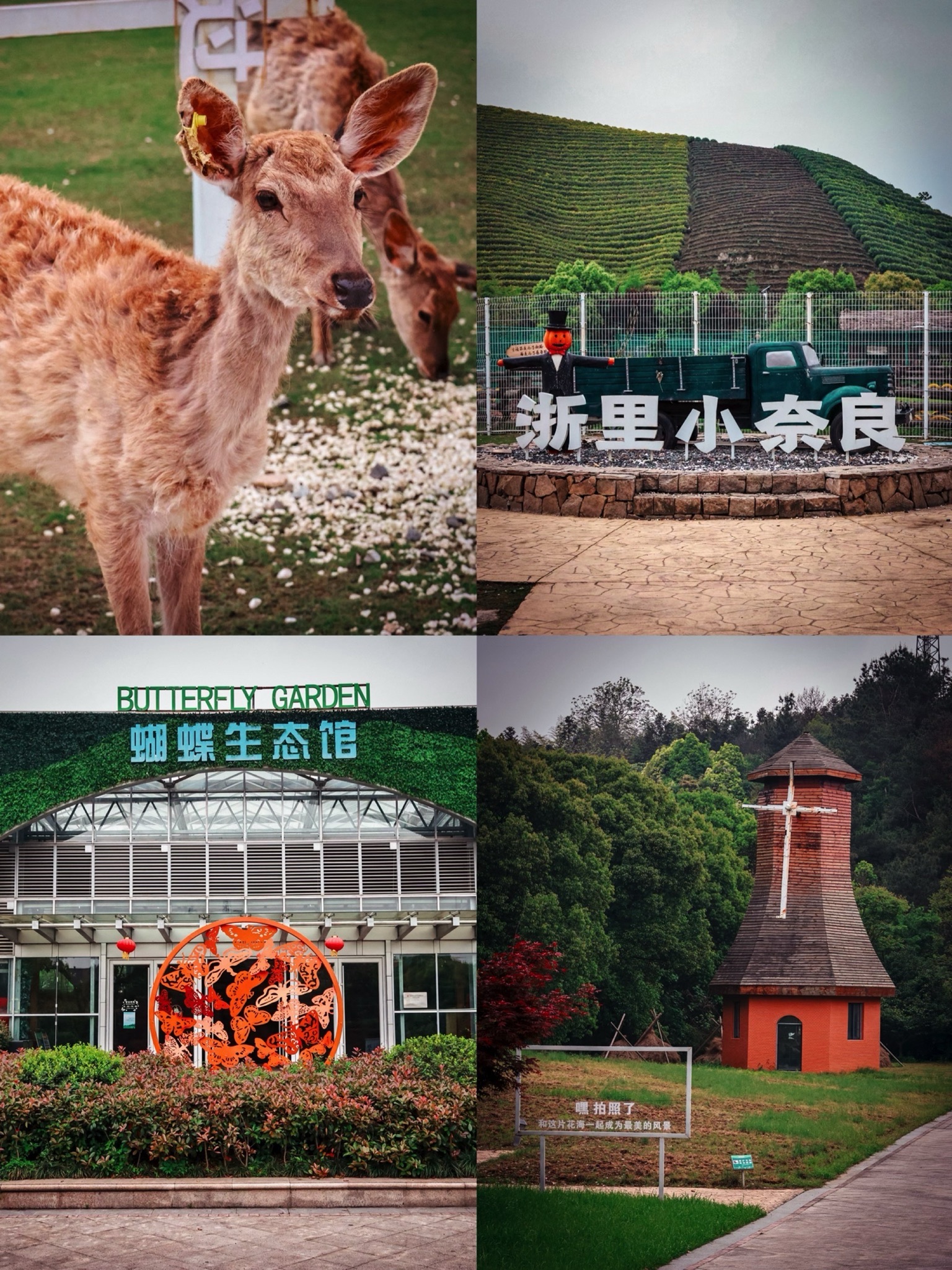 原乡小镇度假乐园旅行图片 1