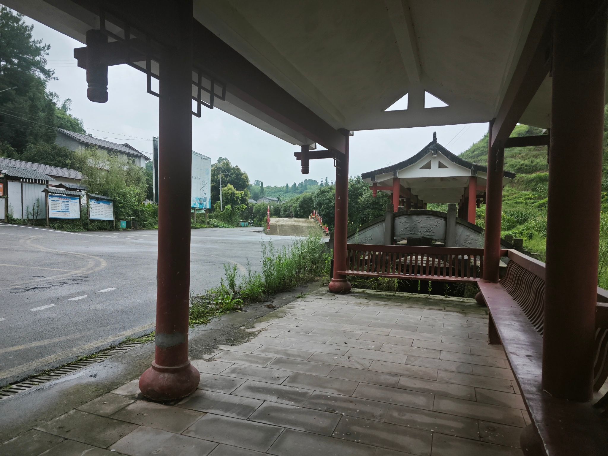 十里荷花走廊旅行图片 1