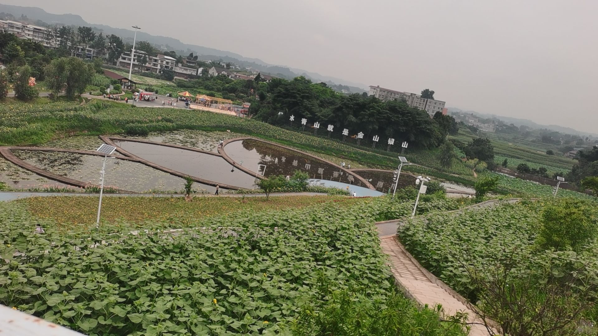 永兴荷莲湿地旅行图片 2