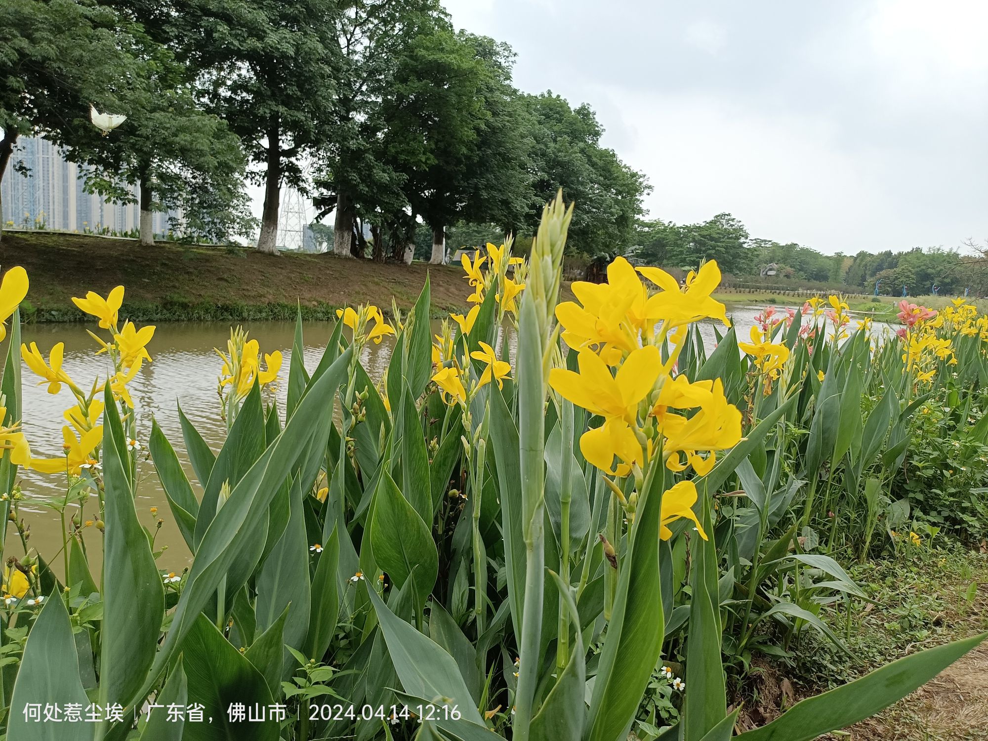 翰林湖农业公园旅行图片 2