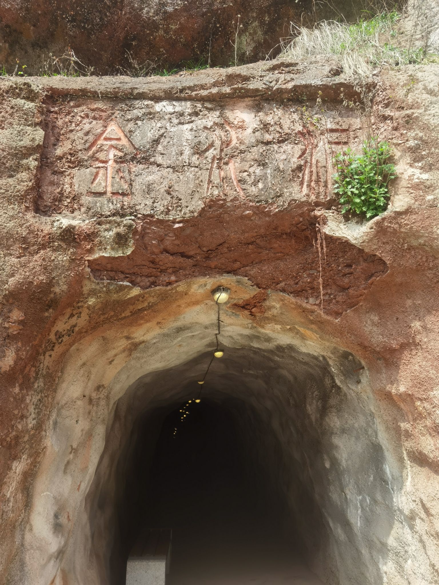 马口生态公园旅行图片 1