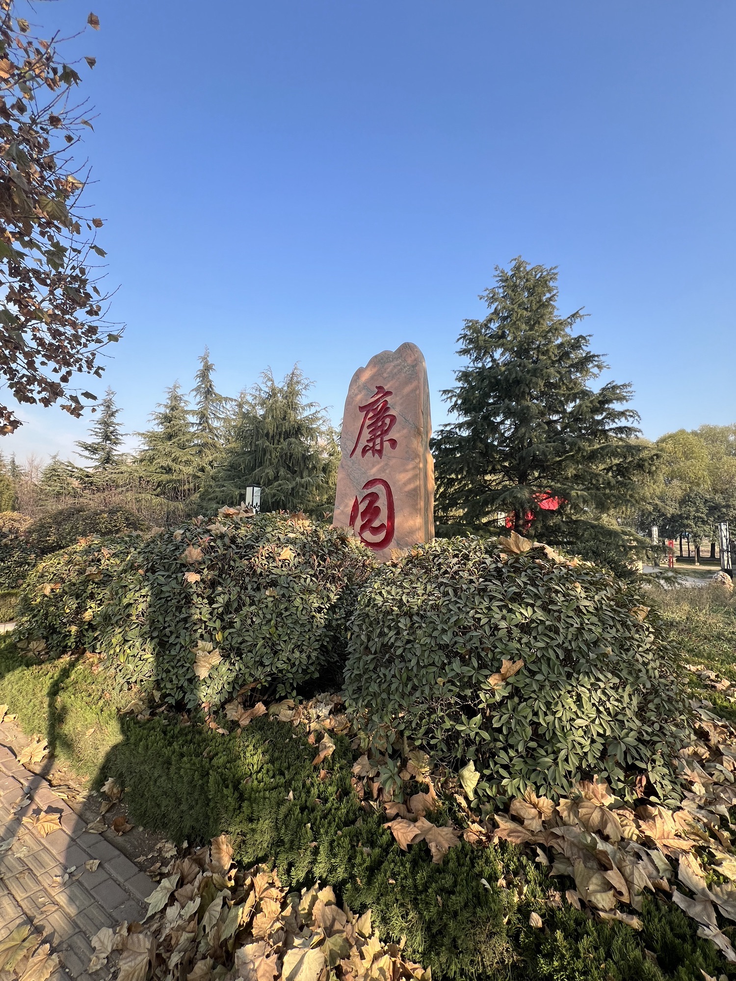 廉园旅行图片 1